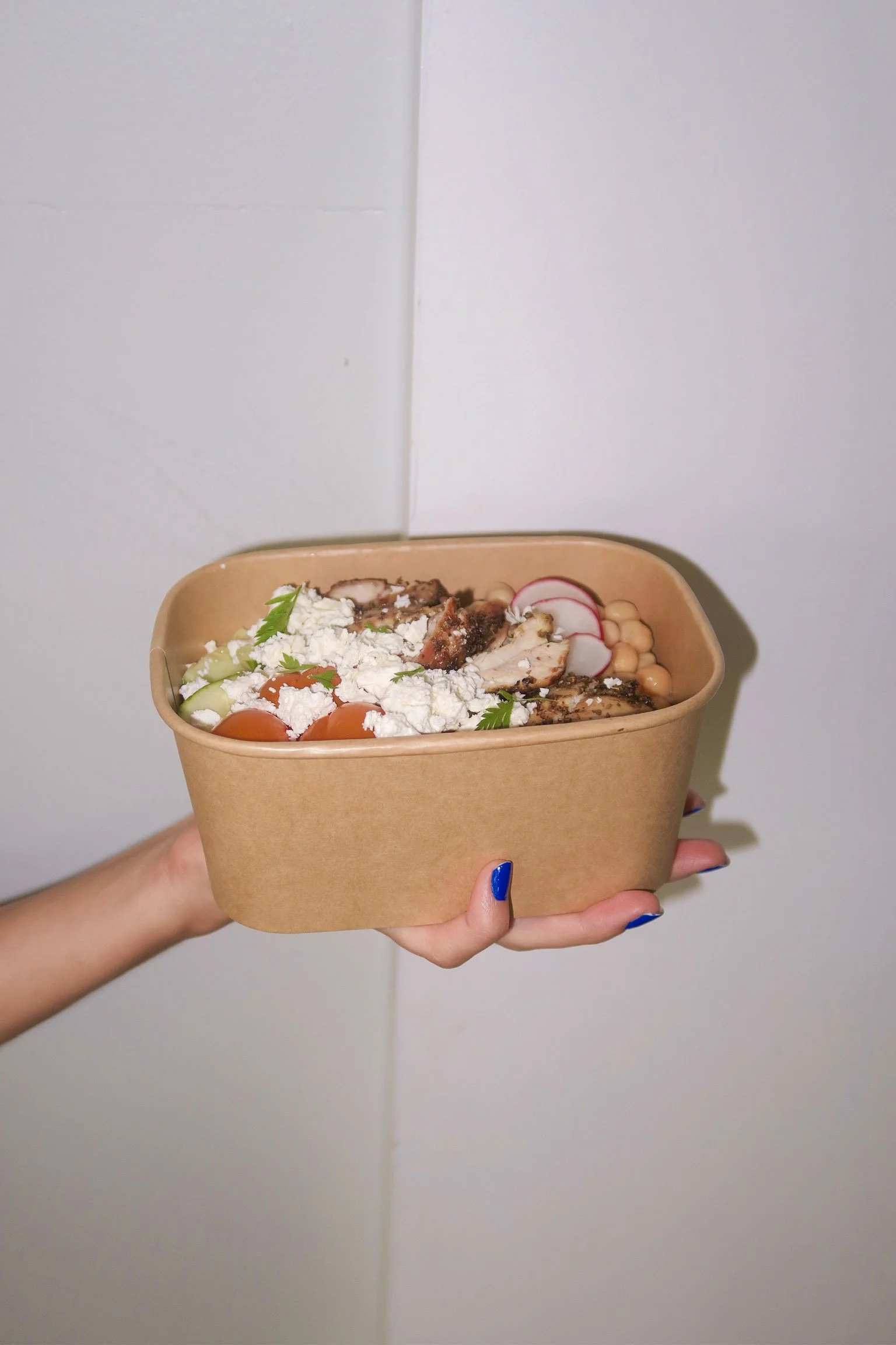 Work Week Plan (10 Meals)