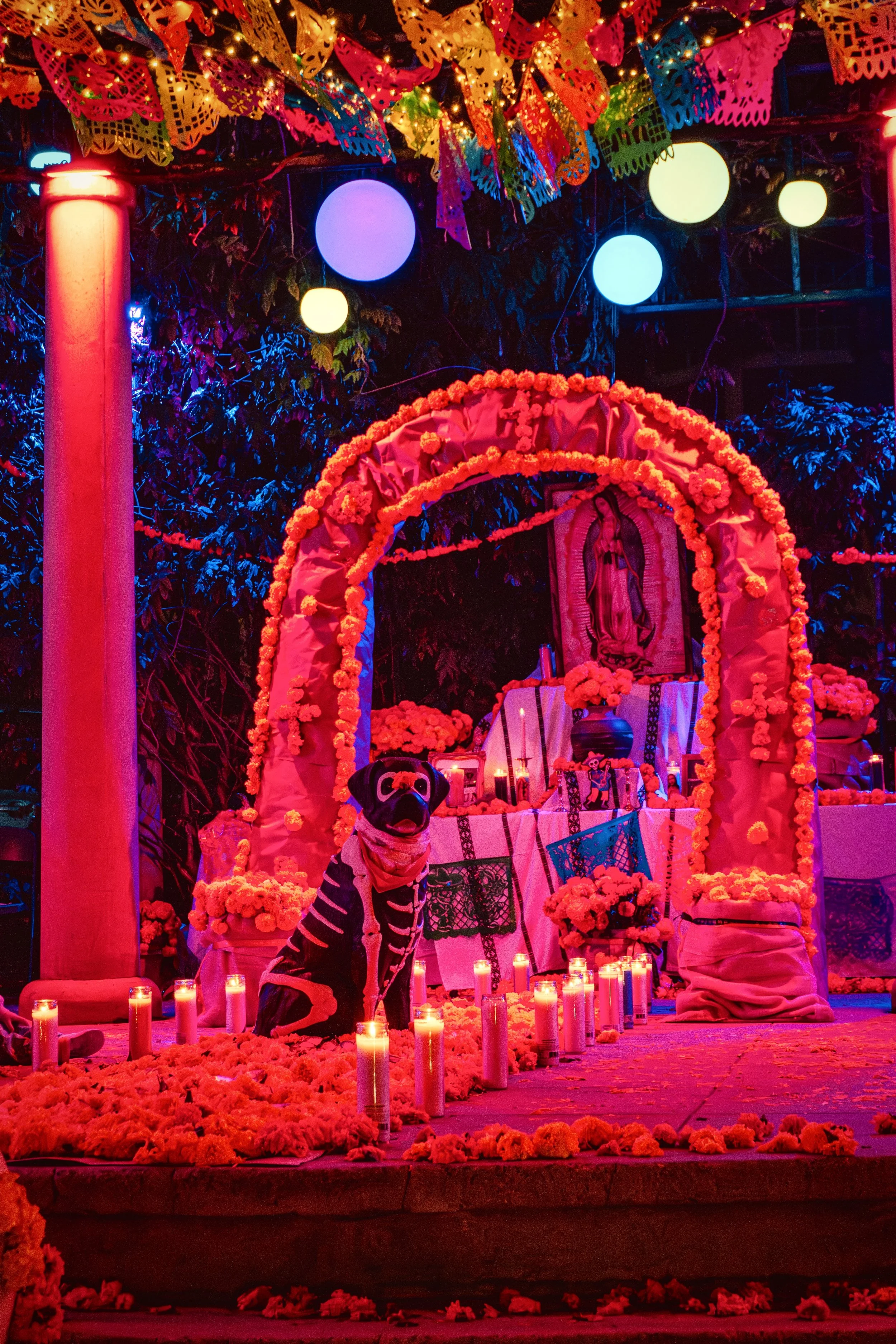 Dog statue at Day of the Dead altar.
