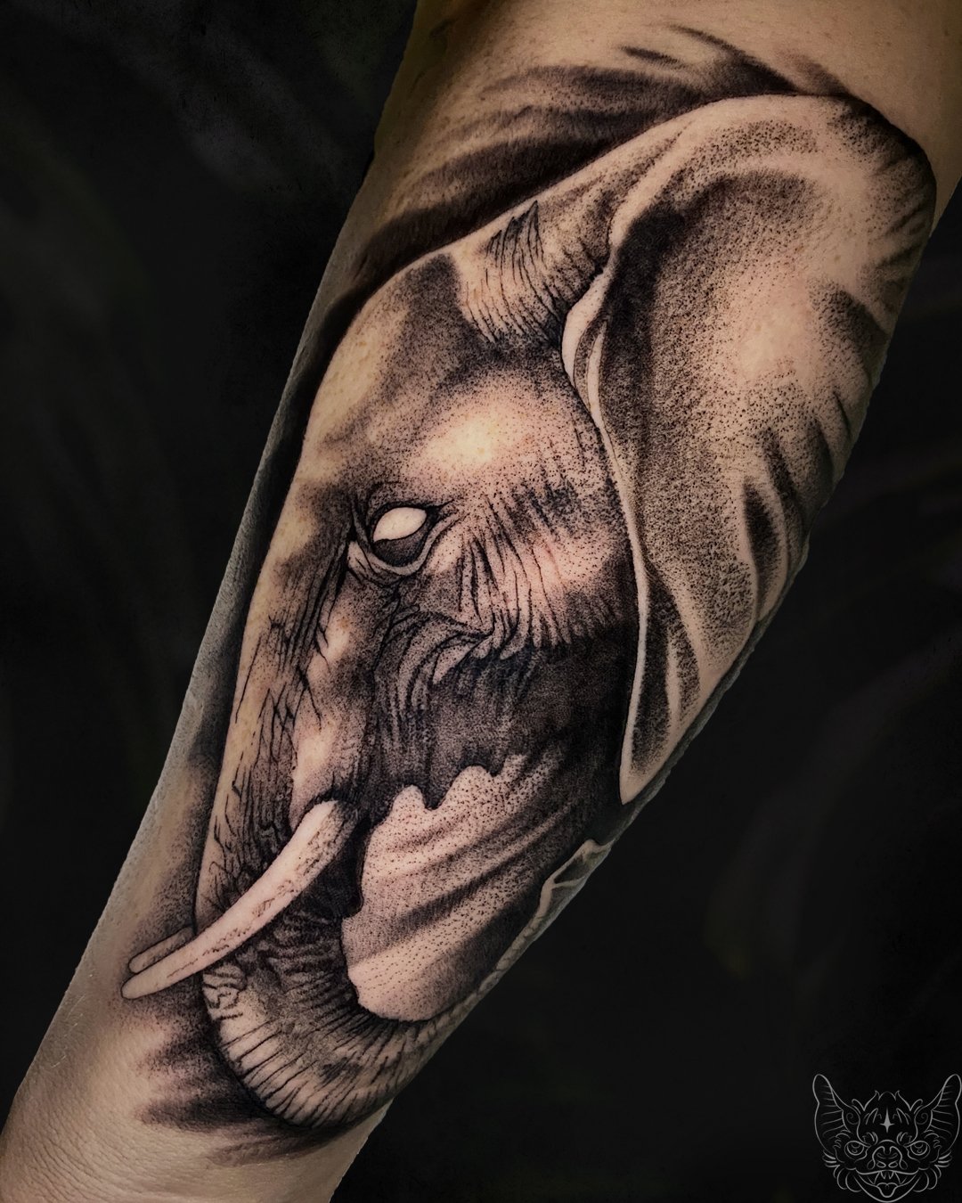Elephant.jpg