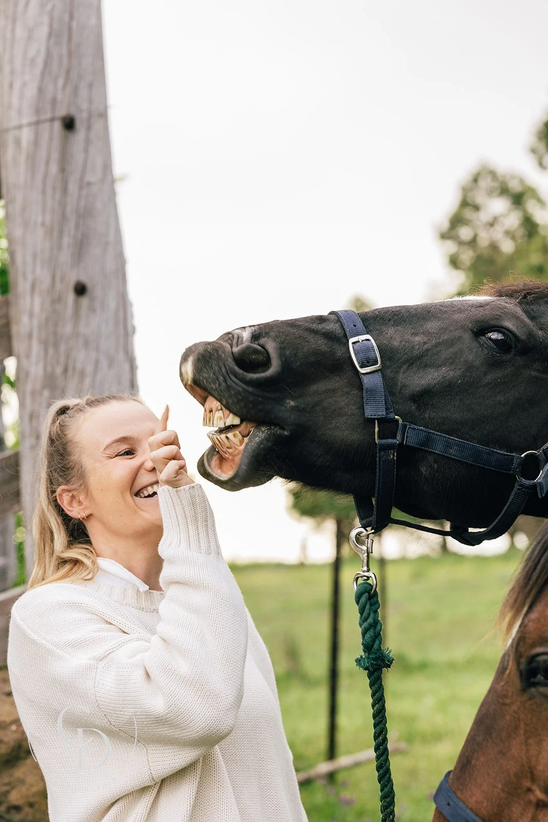 EquineTherapy-597.jpg