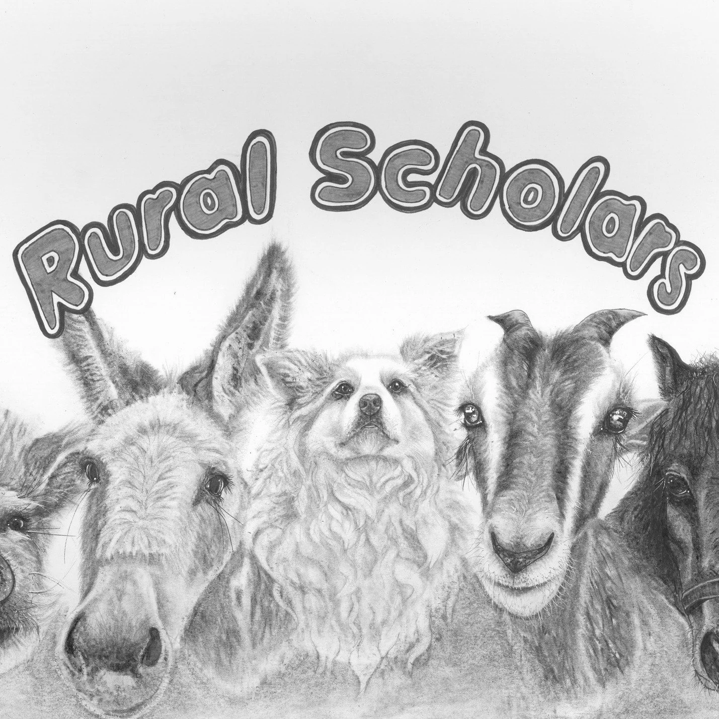 Rural Scholars