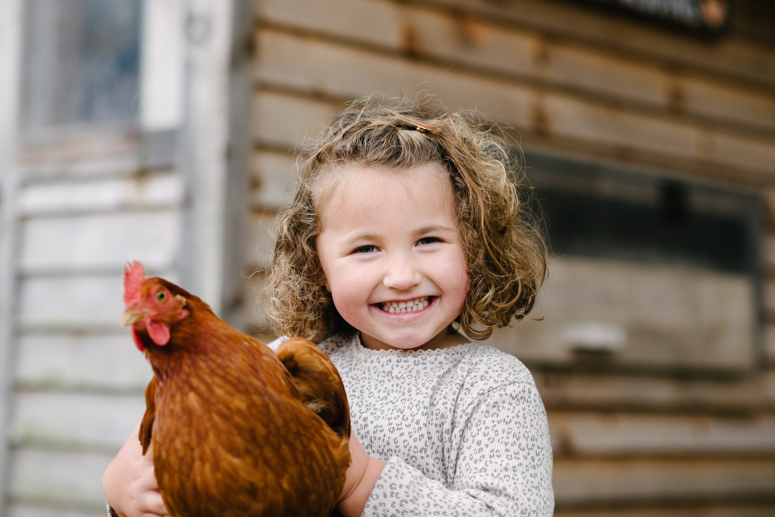 A young girl smiling while holding a brown chicken on a farm.