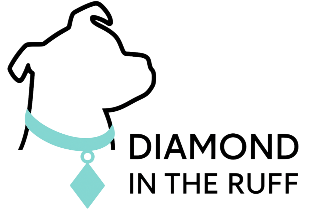Diamond in the Ruff Pet Rescue