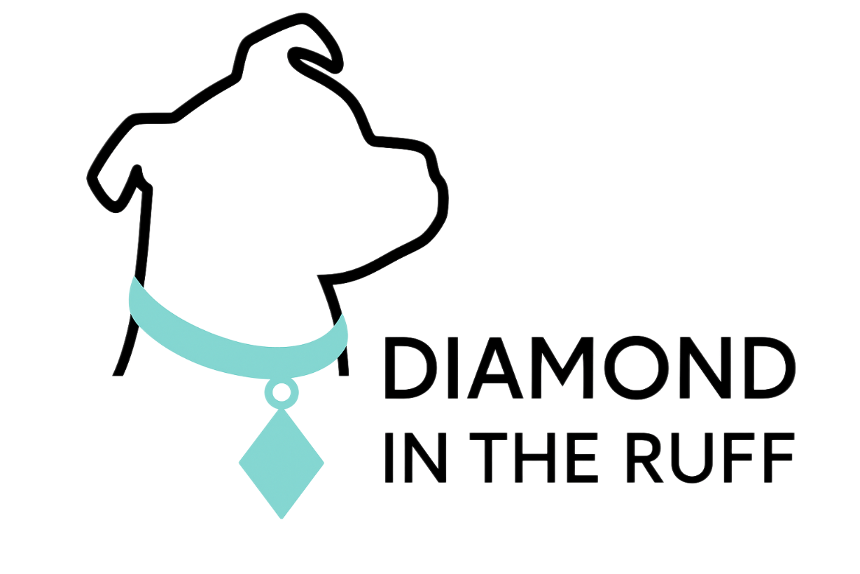 Diamond in the Ruff Pet Rescue