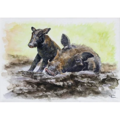 Limited Edition on Canvas: Warthogs "Mud Fever"