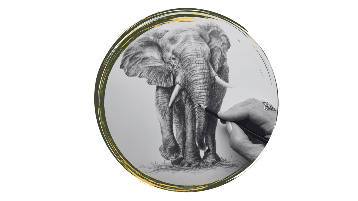 African Wildlife art elephant sketch Kruger National Park