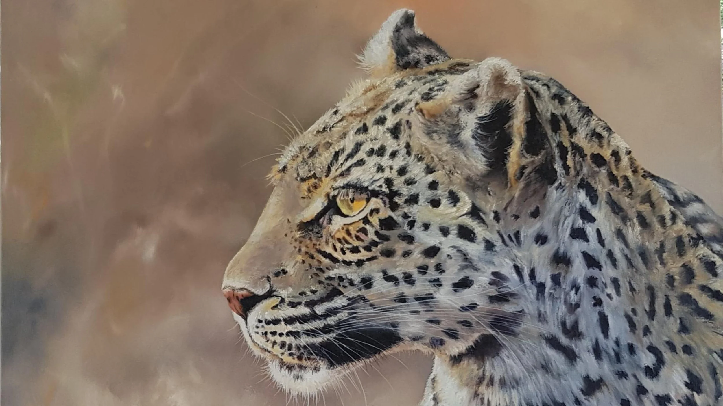 Leopard oil painting, Kruger National Park, Mary-Jane Persson, Nomadic Palette.jpg