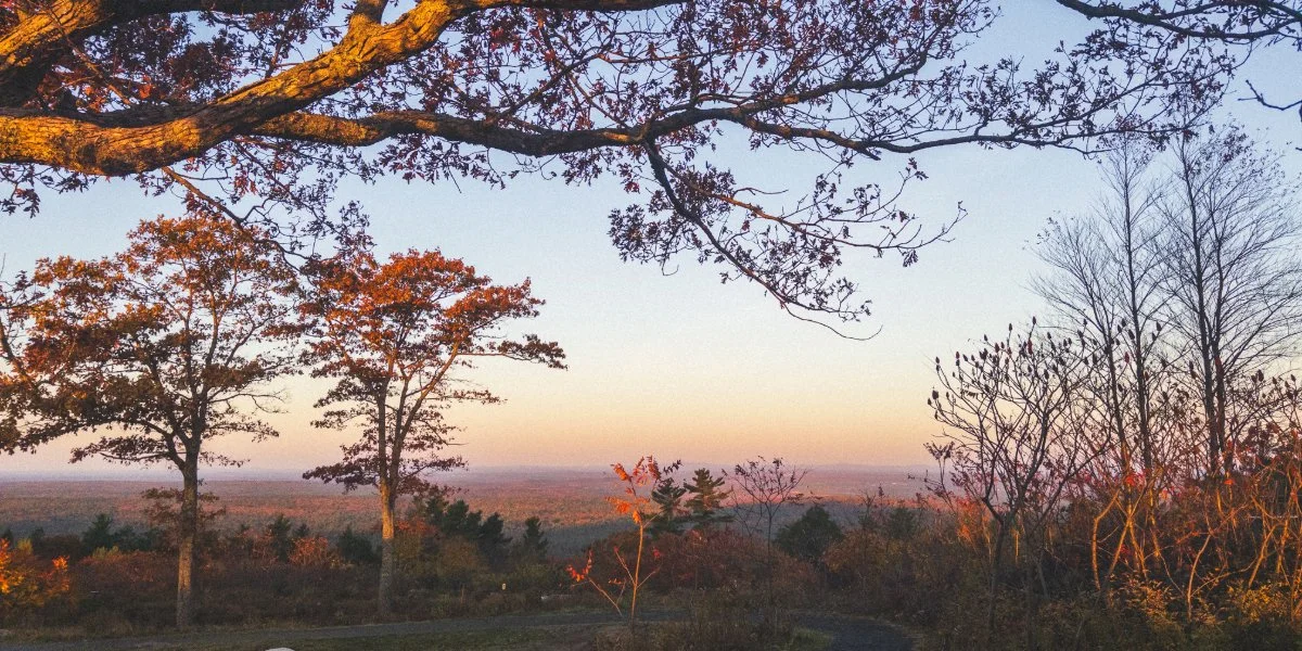 The 5-Day Fitness Formula: How to Stay Fit This Summer Without Living at the Gym