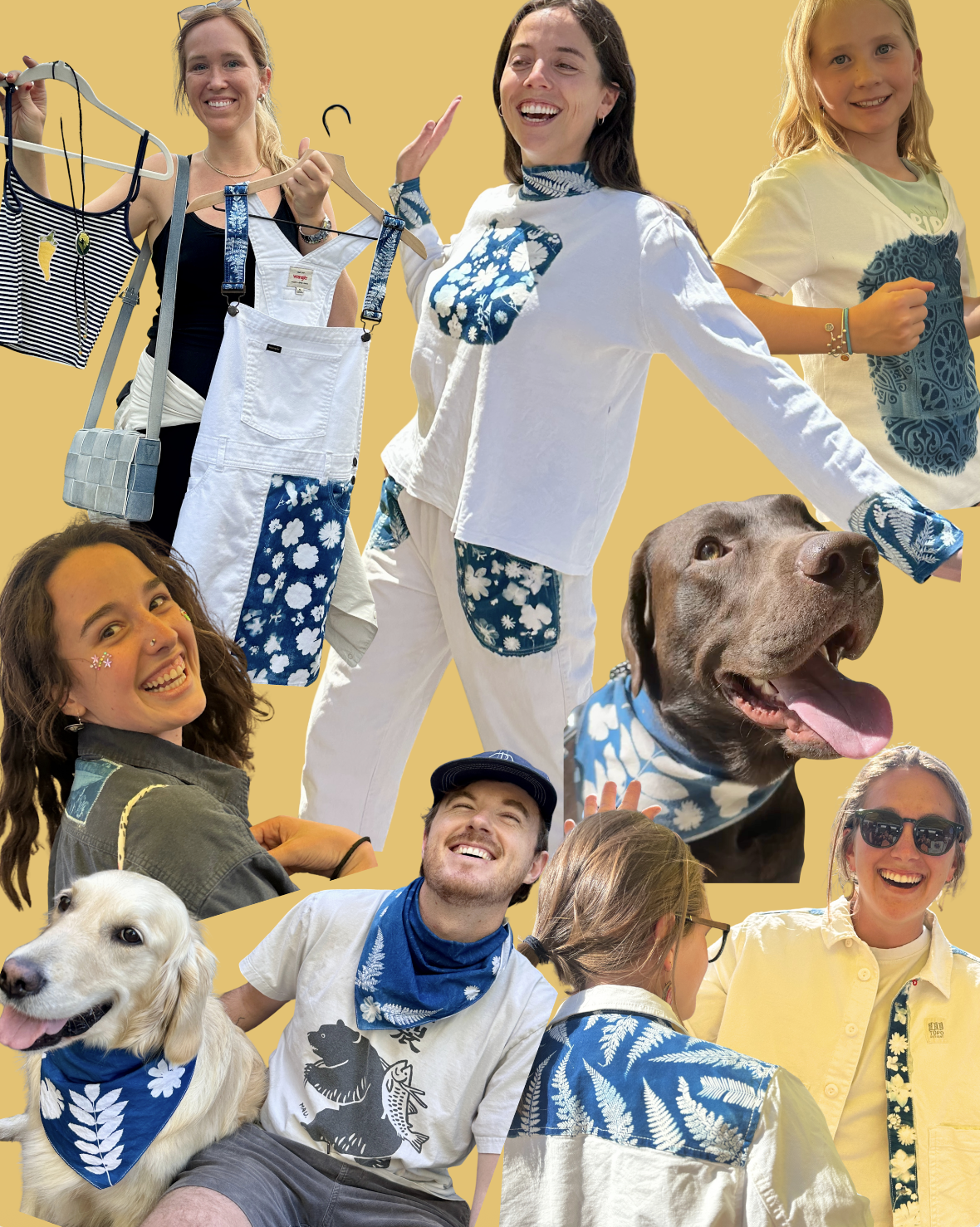 Cyanotype + Solar Printing