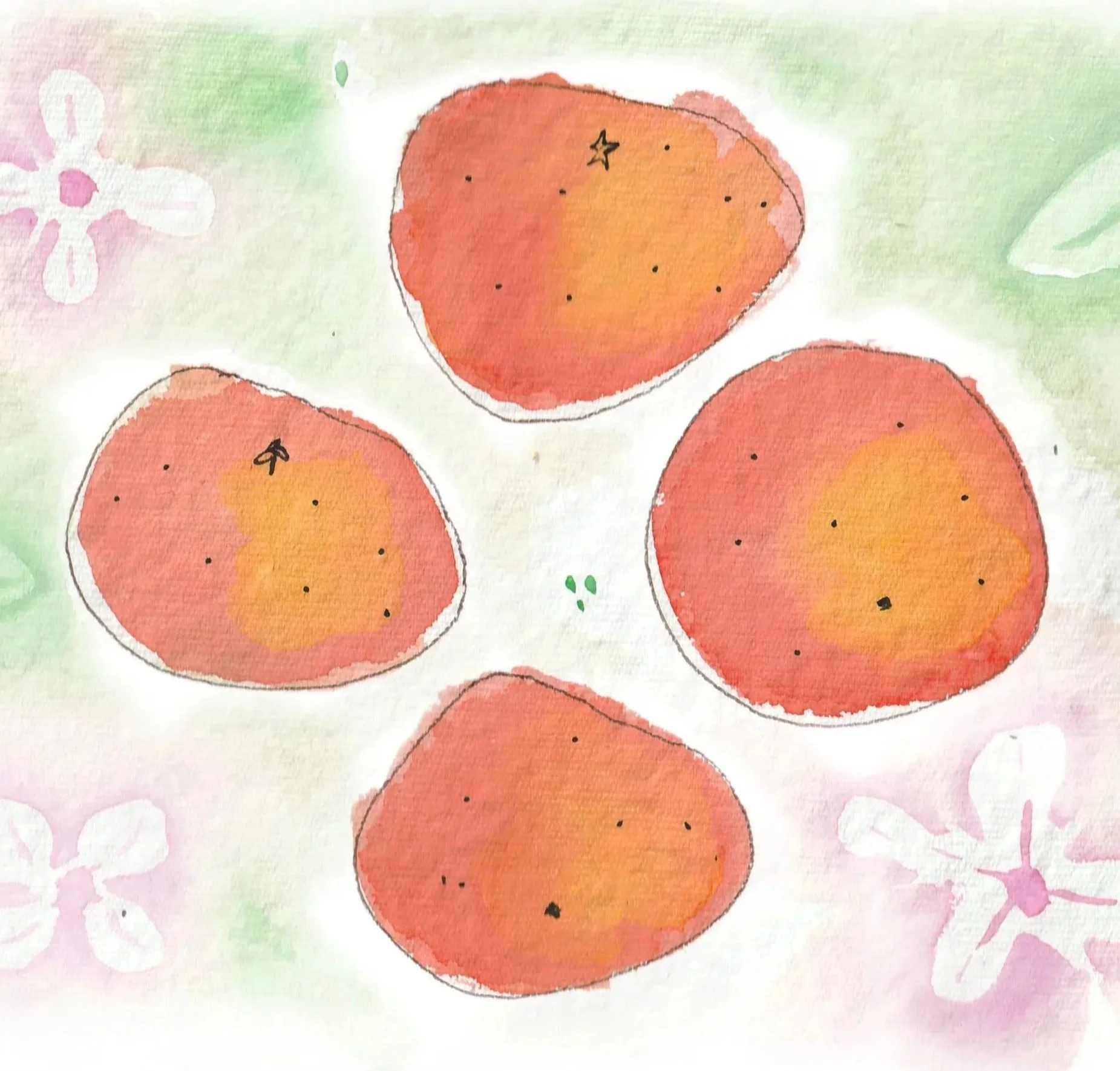 Boxes of Tangerines