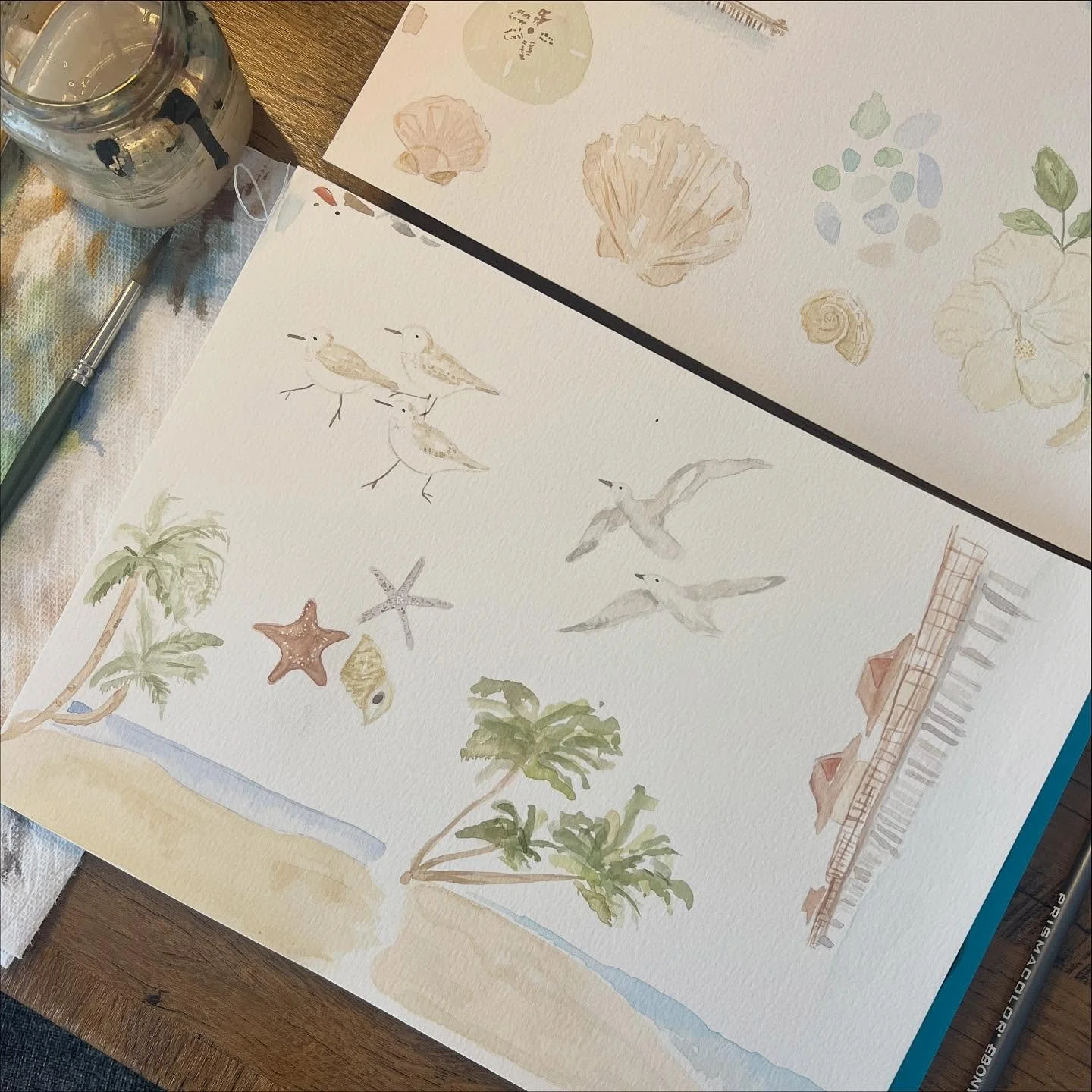 Watercolor illustrations for the beach #watercolortattooartist #illustrations #watercolor