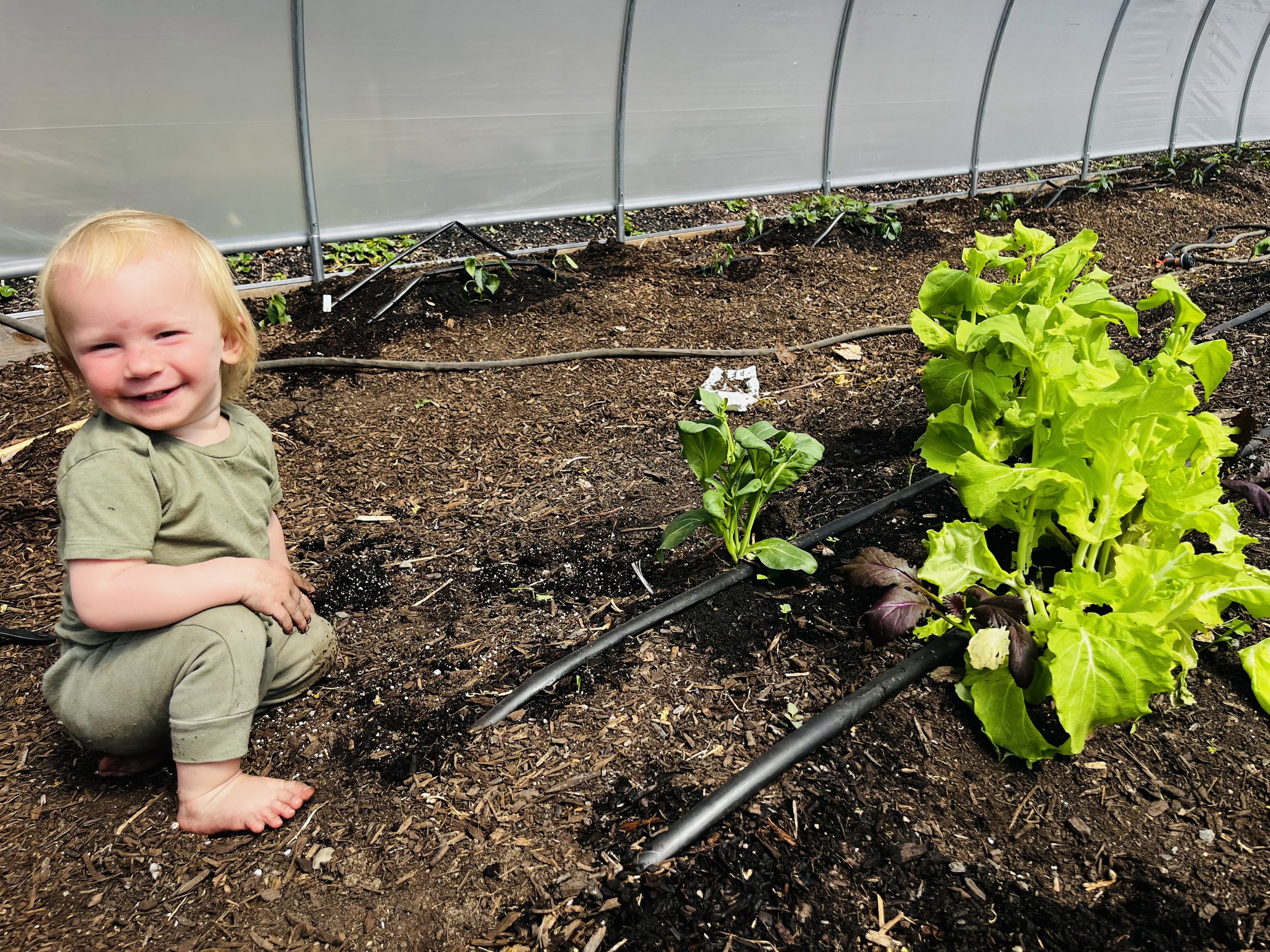 Mana helping plant the hoop house (Easter day 2025)