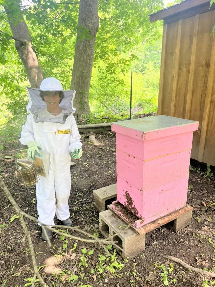 Marek doing a hive check