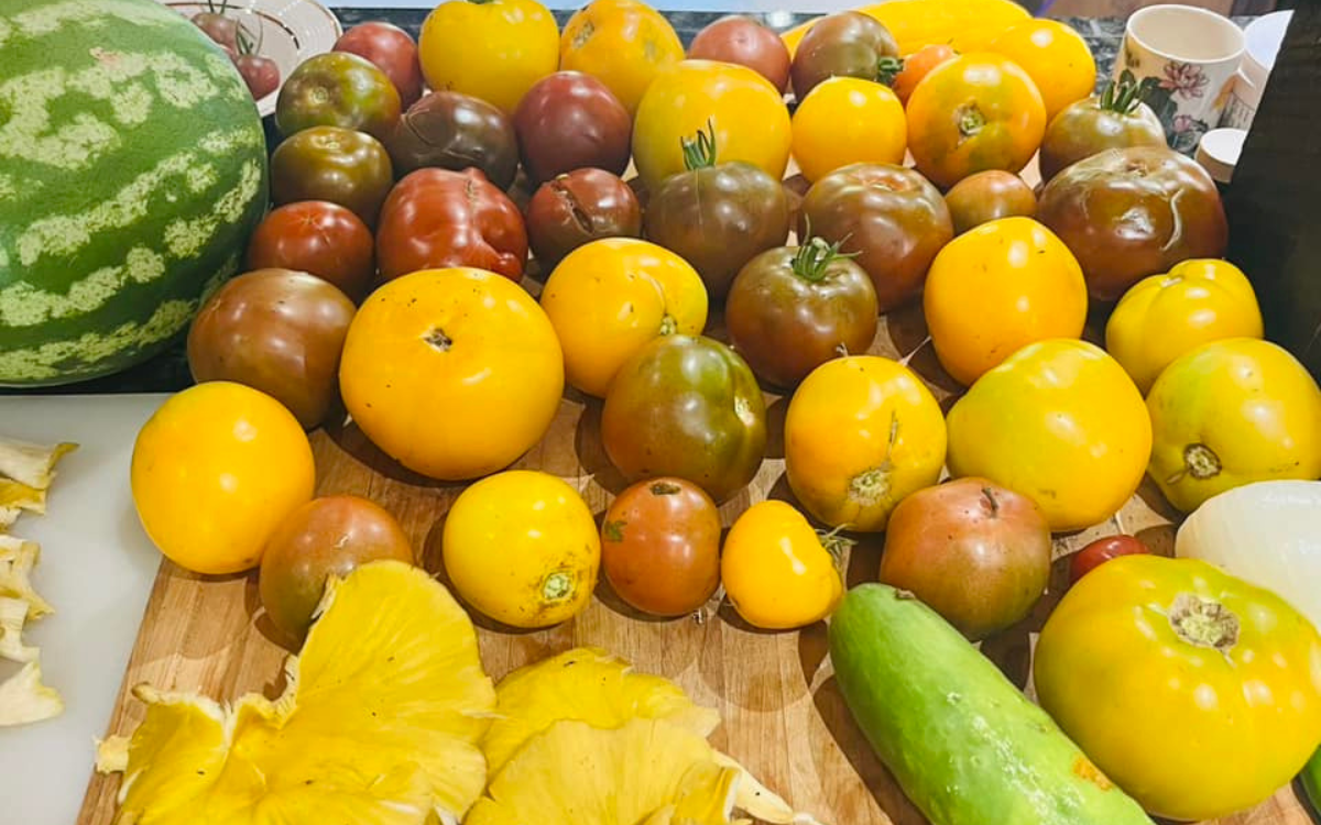 Our wonderful harvest!