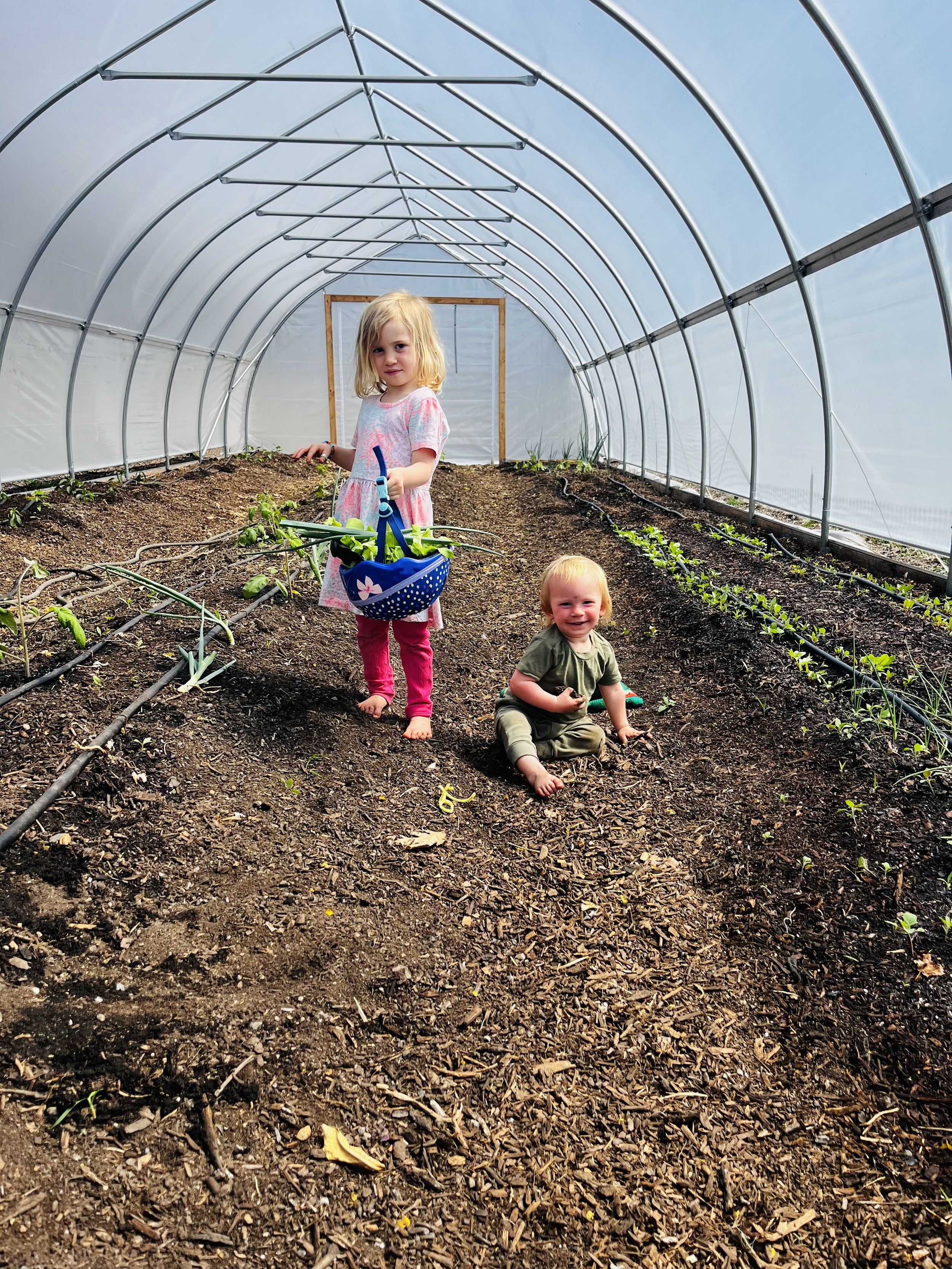 Harvesting a salad from the hoop house (Easter 2025)