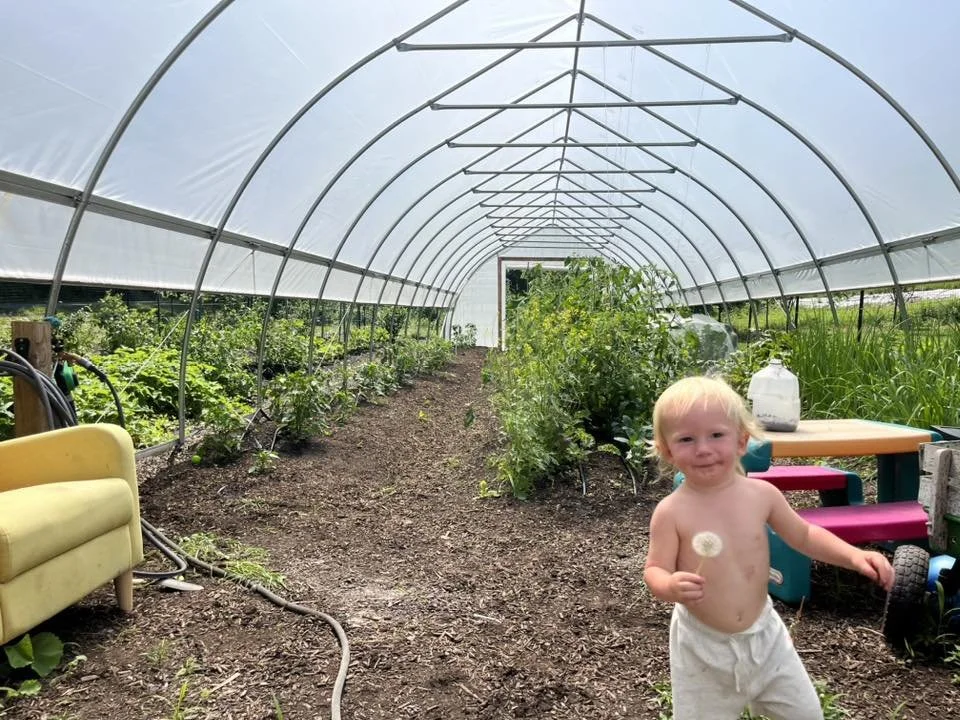Inside our hoop house (June 2025)