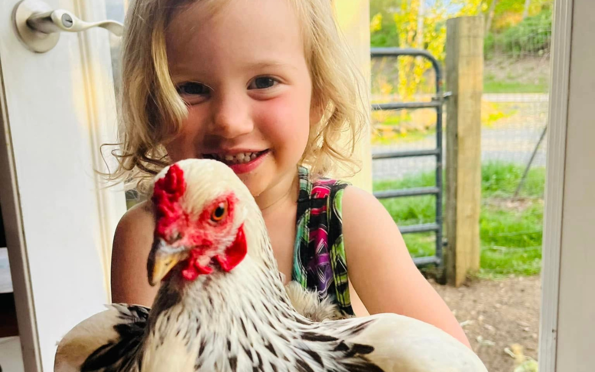 Myka’s favorite chicken often makes her way into our house!