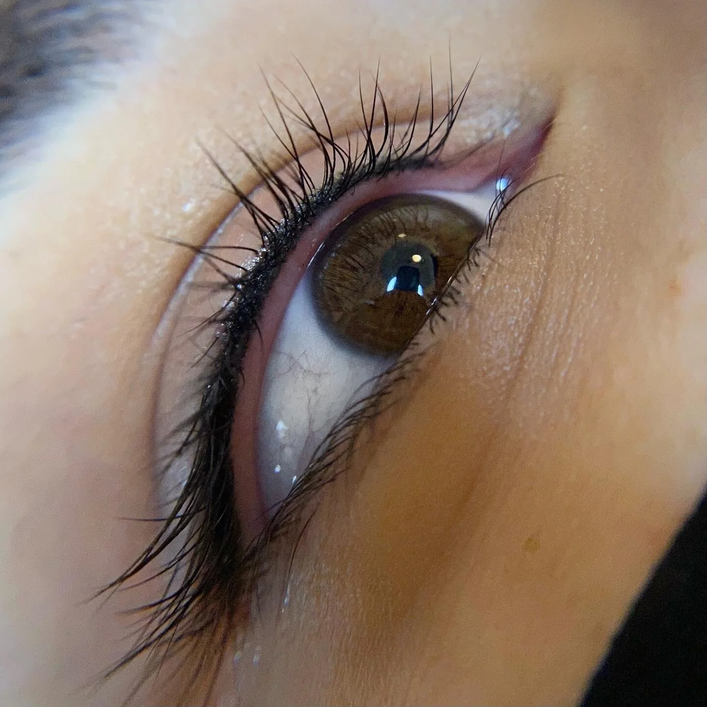 Lash Liner.jpeg
