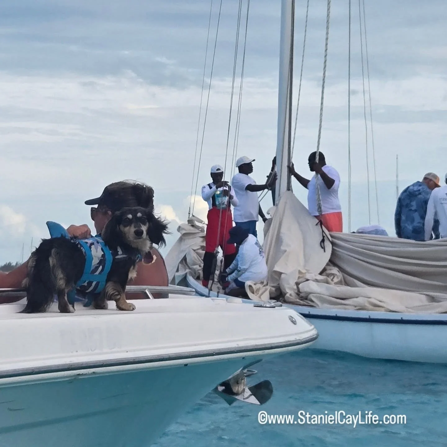 Regatta Recap! 🌊⛵️

Friday brought two back-to-back series races&mdash;and showed the world that Tida Wave #16 is back in form and force. 🤩

Race 1: Tida Wave had a rough start with a tangled sheet right off the line. But she clawed her way back to