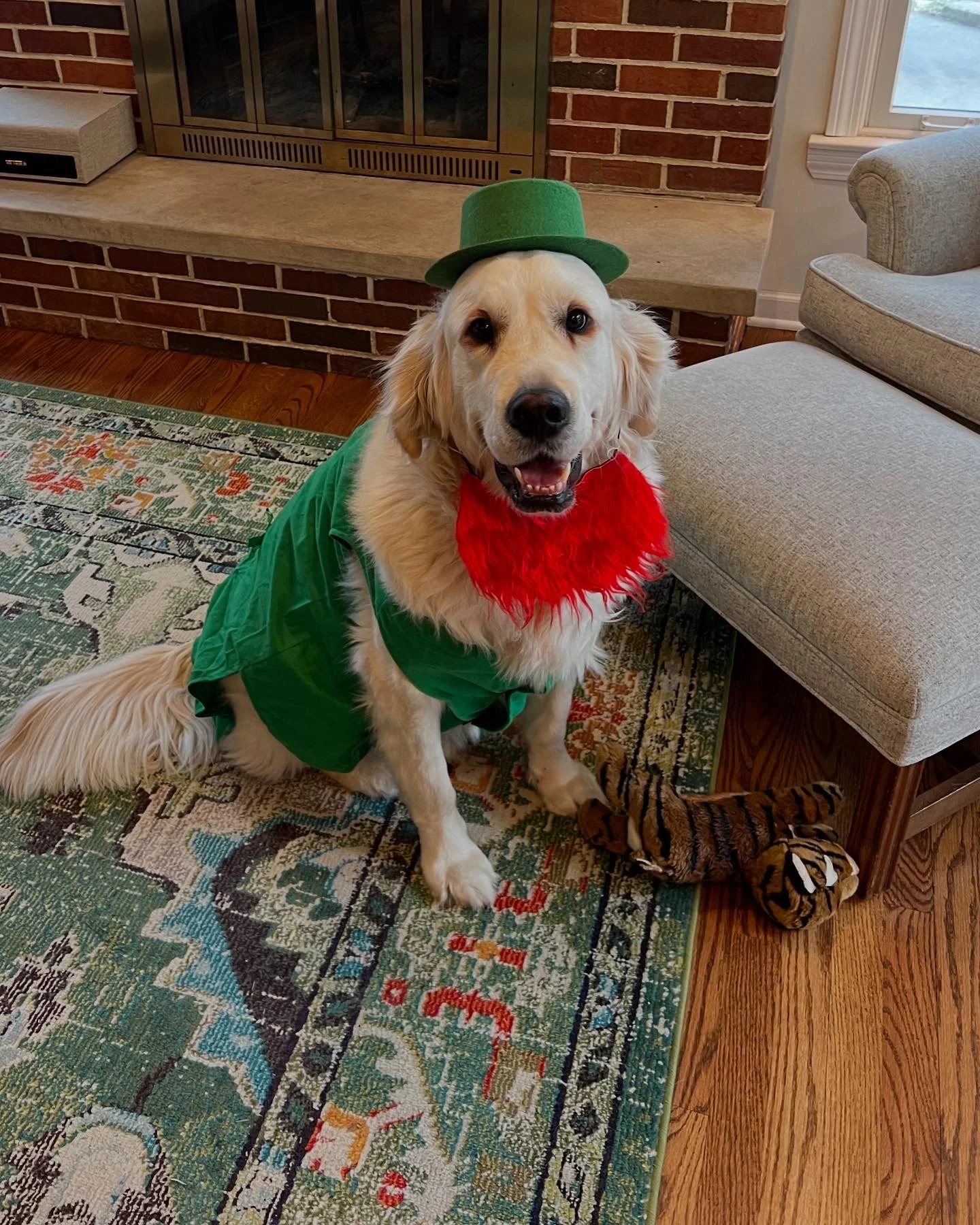 B1F0B2AD-1FC7-4D58-8D85-BBA681BD8A86 (1).JPG