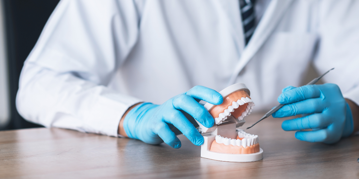 Understanding Bite Alignment and Malocclusion