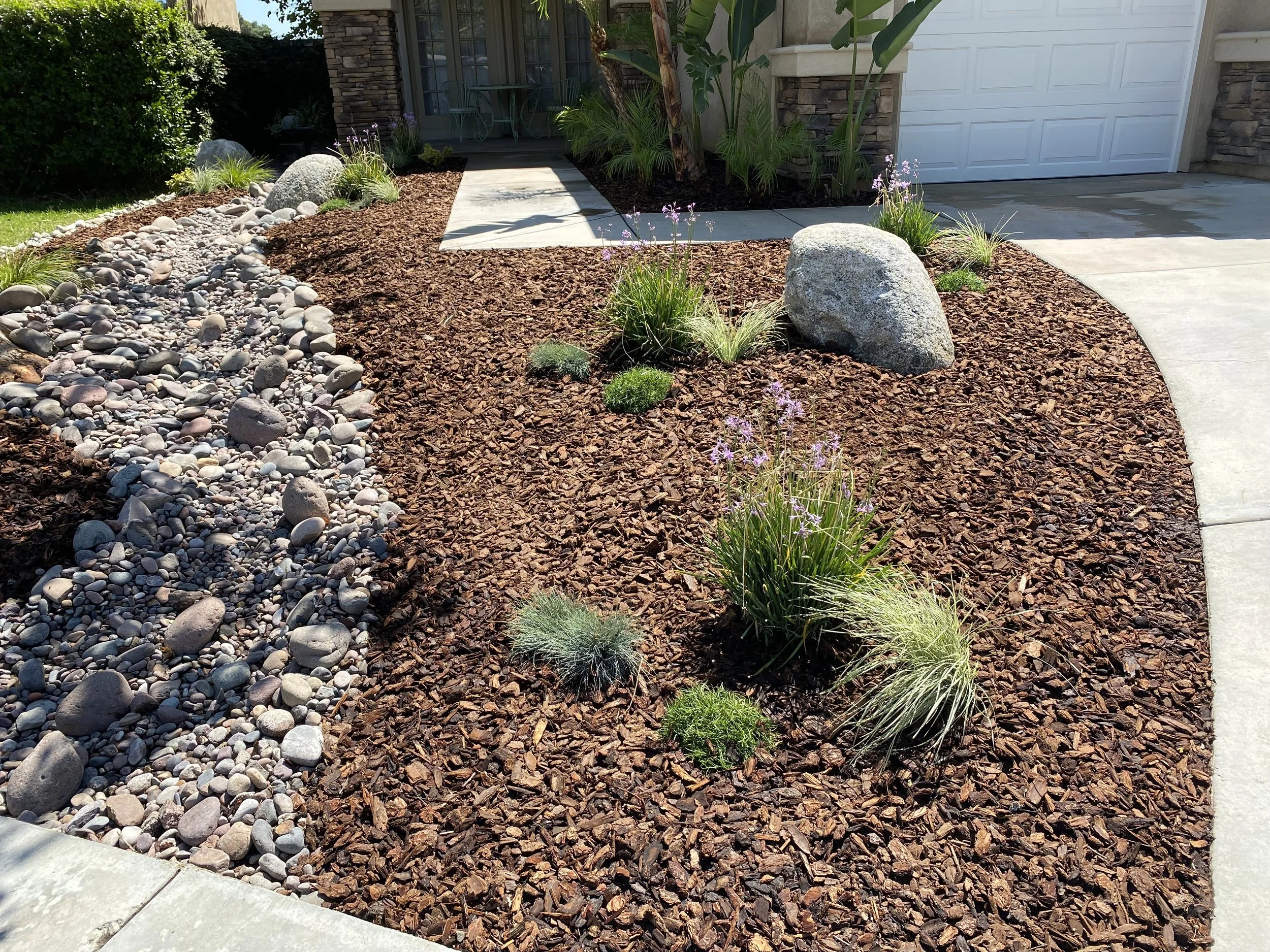 A landscaped front yard with a gravel pathway, multicolored rocks, and brown mulch, featuring various plants and a large stone near a concrete sidewalk and garage.