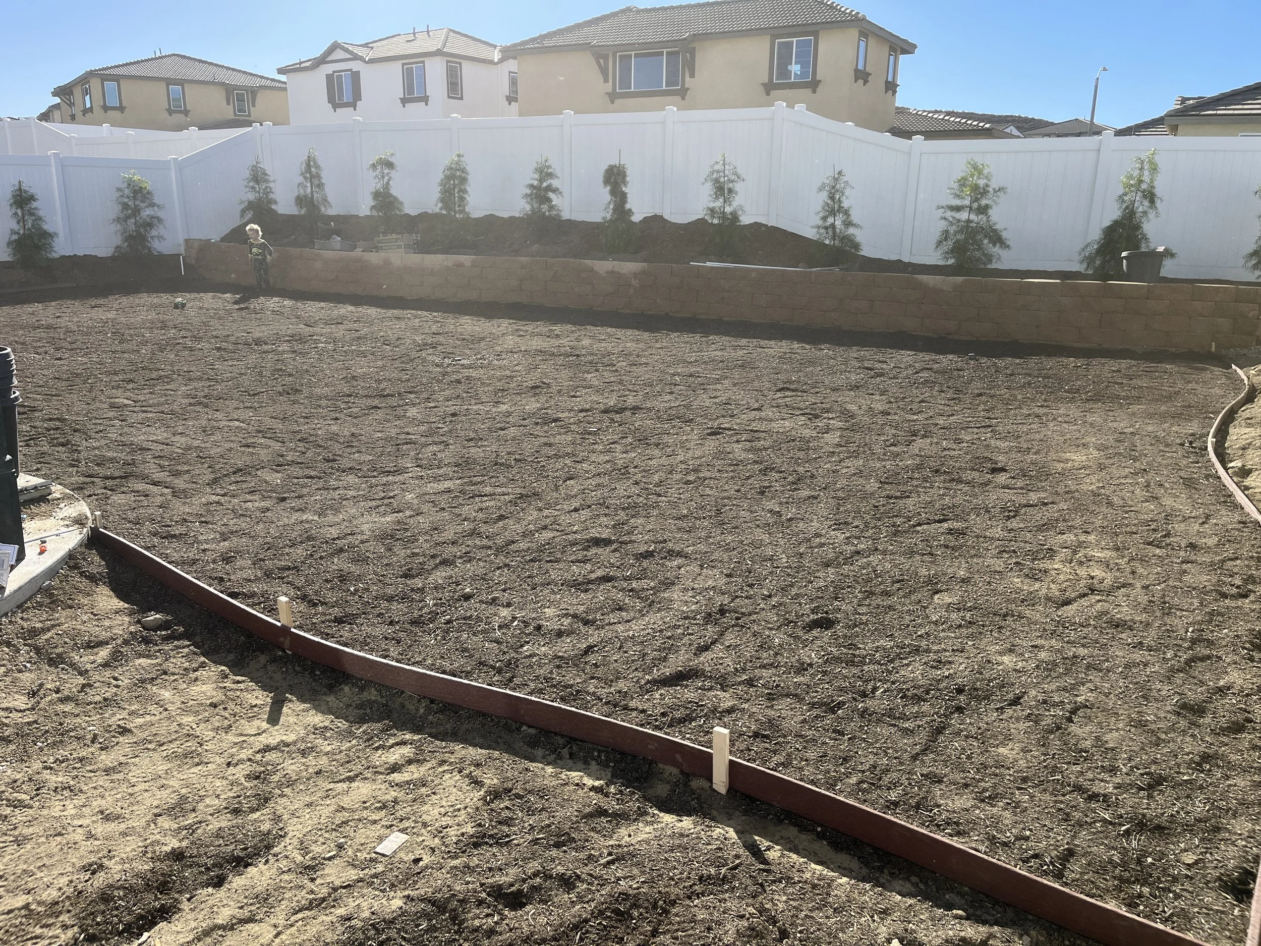 A backyard under construction with a leveled dirt surface, a white fence, newly planted trees along the fence, and houses in the background.