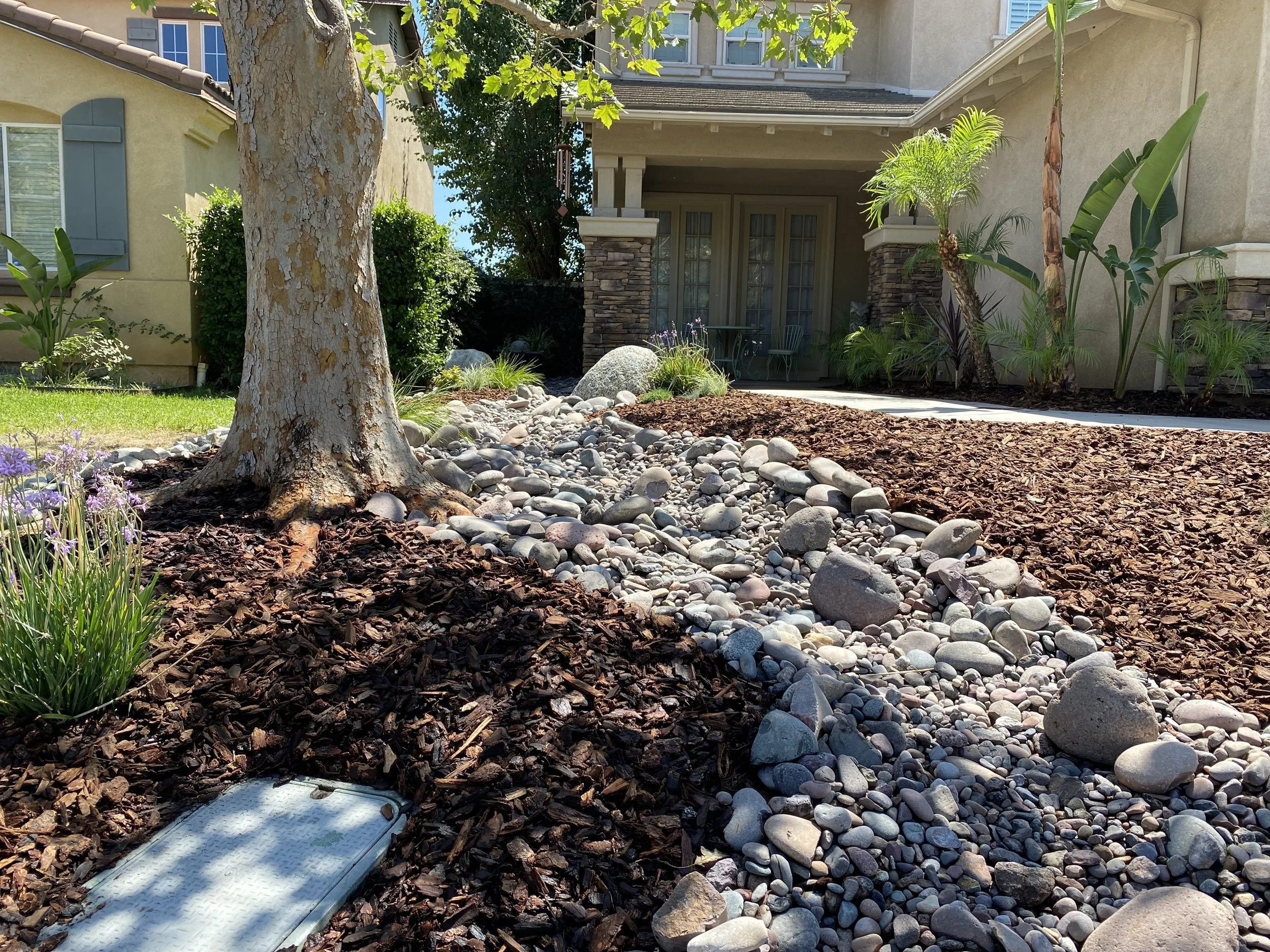 A landscaped front yard with a large tree, mulch, and decorative rocks leading to a house with a patio and garden plants.