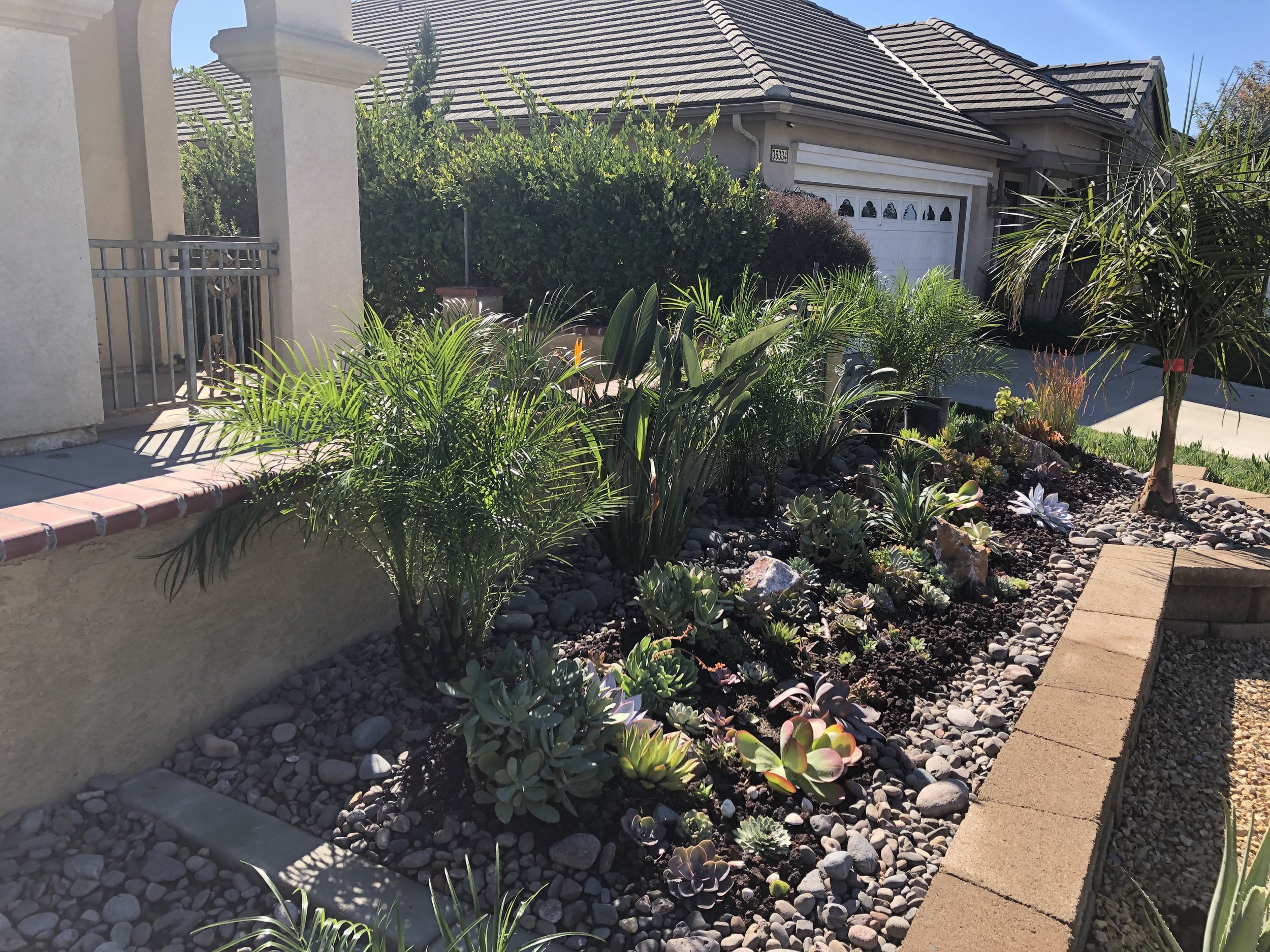 A front yard garden with various green plants, succulents, and small rocks, bordered by bricks, in front of a house with a tiled roof, a driveway, and a garage door under a clear blue sky.