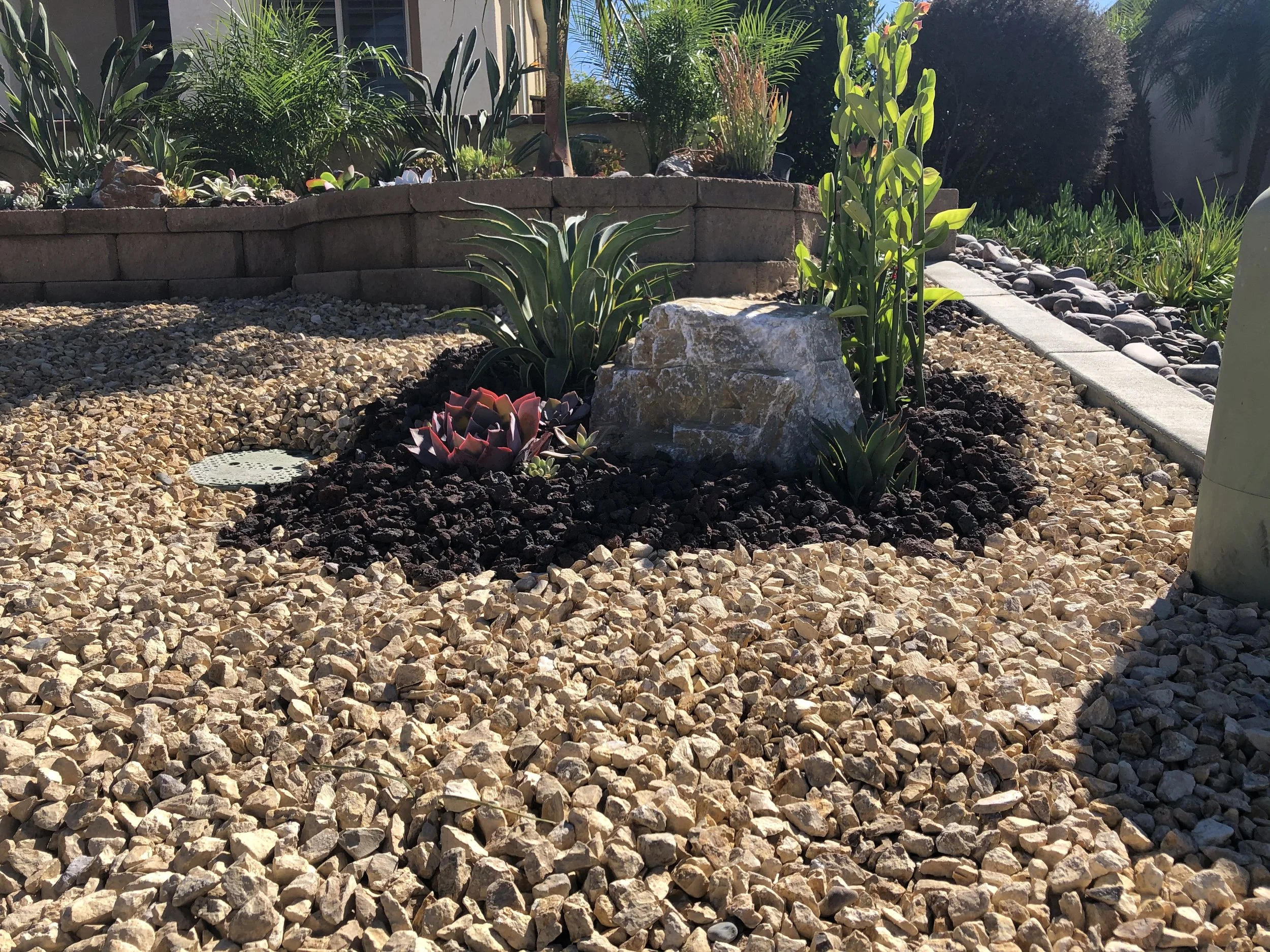 A landscaped garden area with decorative rocks, succulents, and various plants, including a large boulder and a low brick border in the background.