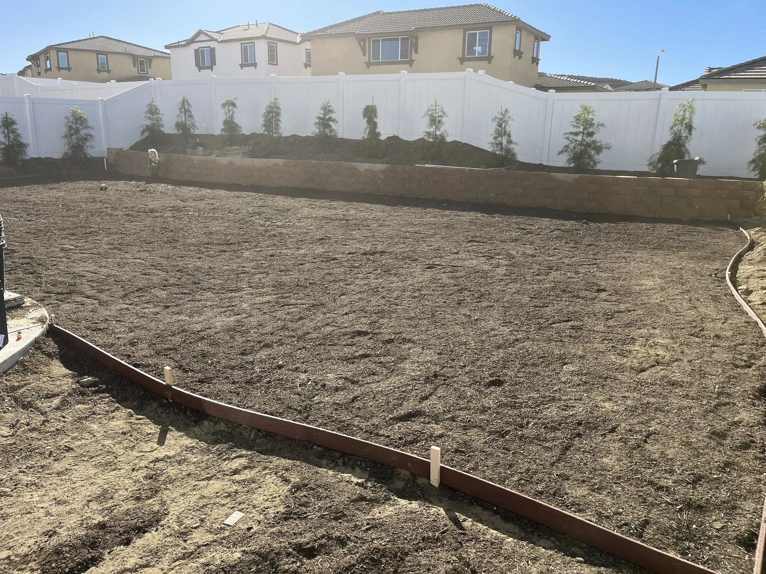 A backyard with dirt ground, a curved red border, a raised garden bed with trees, and a white privacy fence against neighboring houses under a clear blue sky.