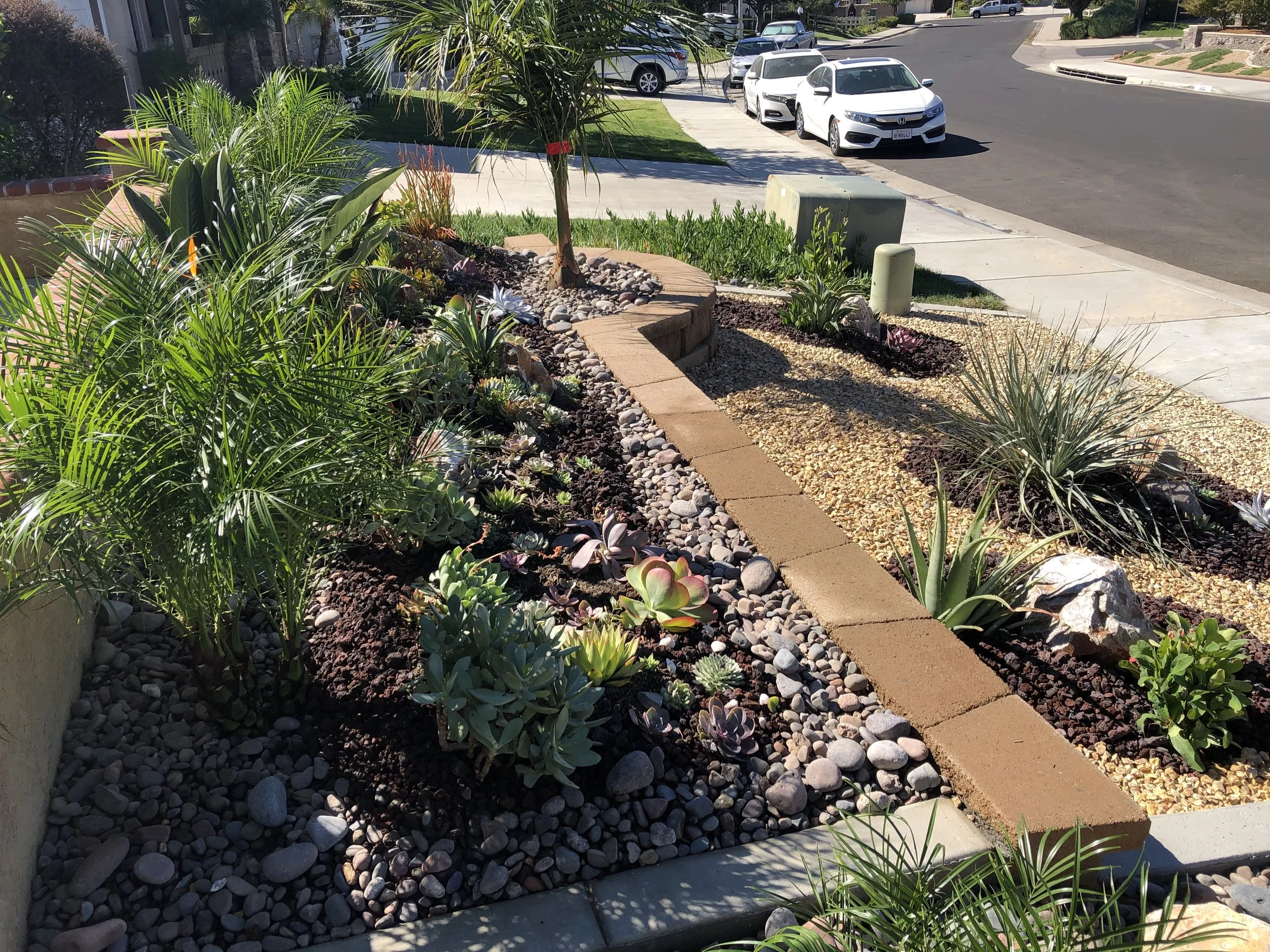 Well-maintained front yard with drought-tolerant plants, succulents, and decorative rocks bordered by a brick edge, located in a suburban neighborhood with parked cars and sidewalks.
