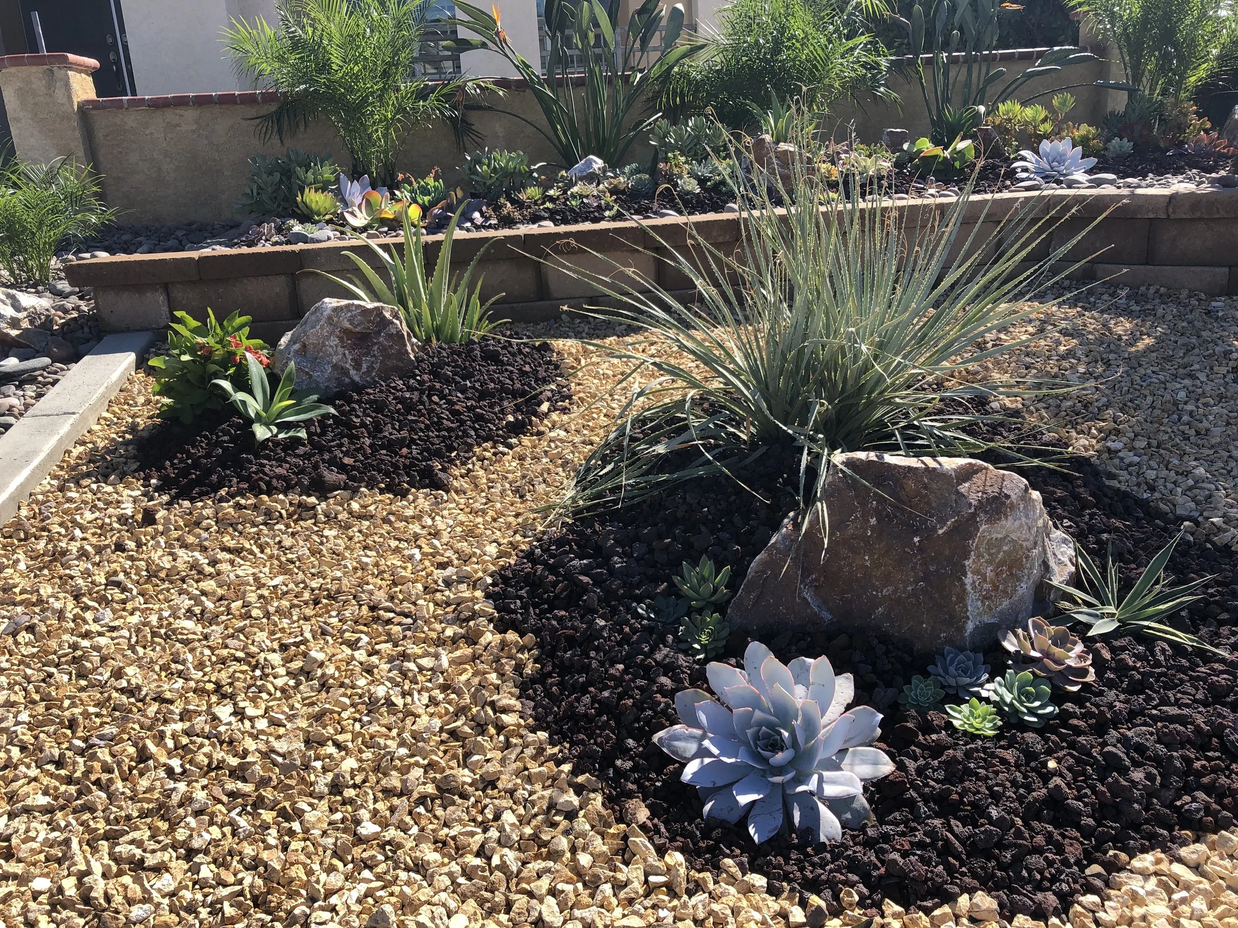 A desert-style garden with various succulents, rocks, and gravel mulch in different colors, featuring large rocks and lush green plants in the background.