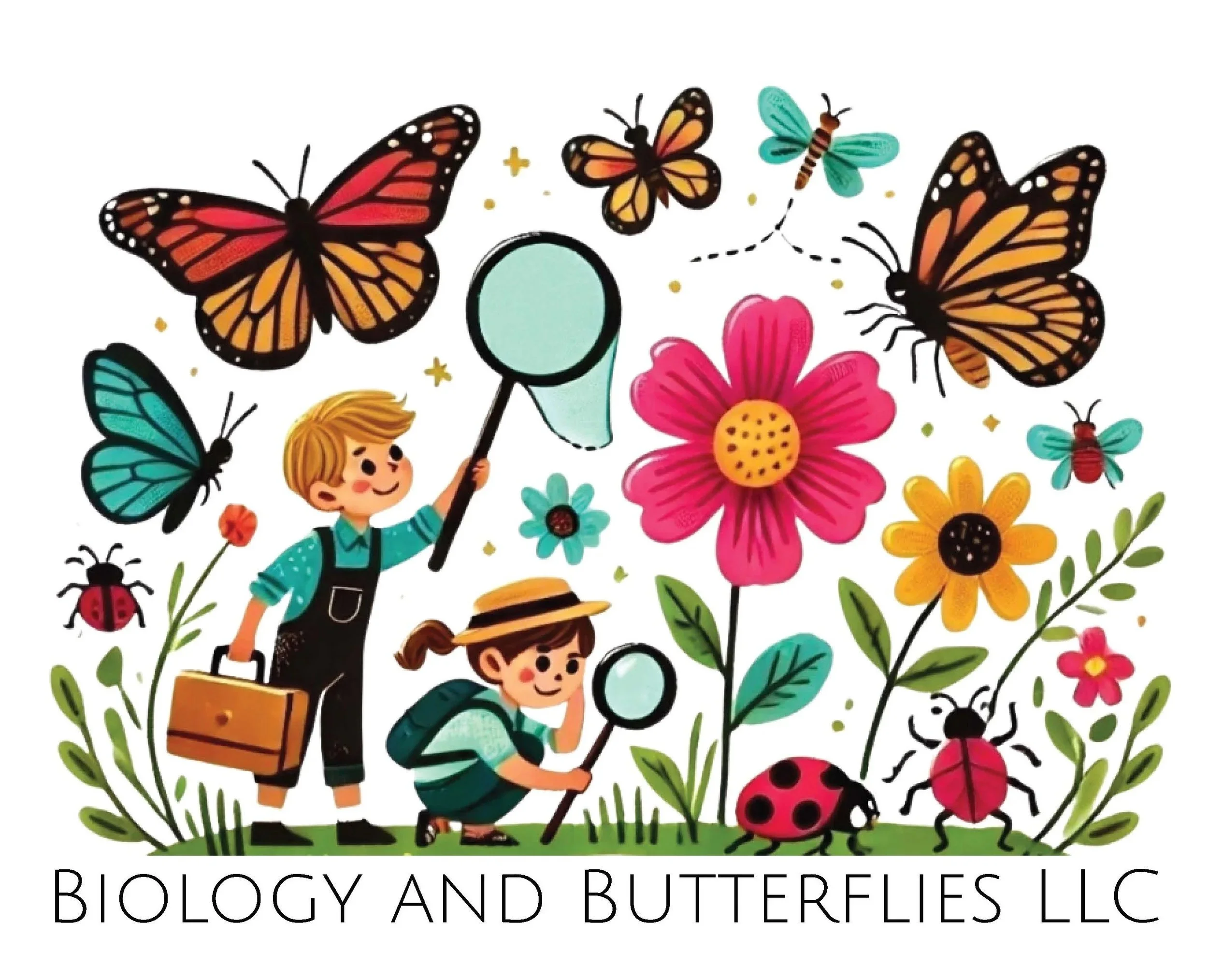 School Program Coming Soon -B