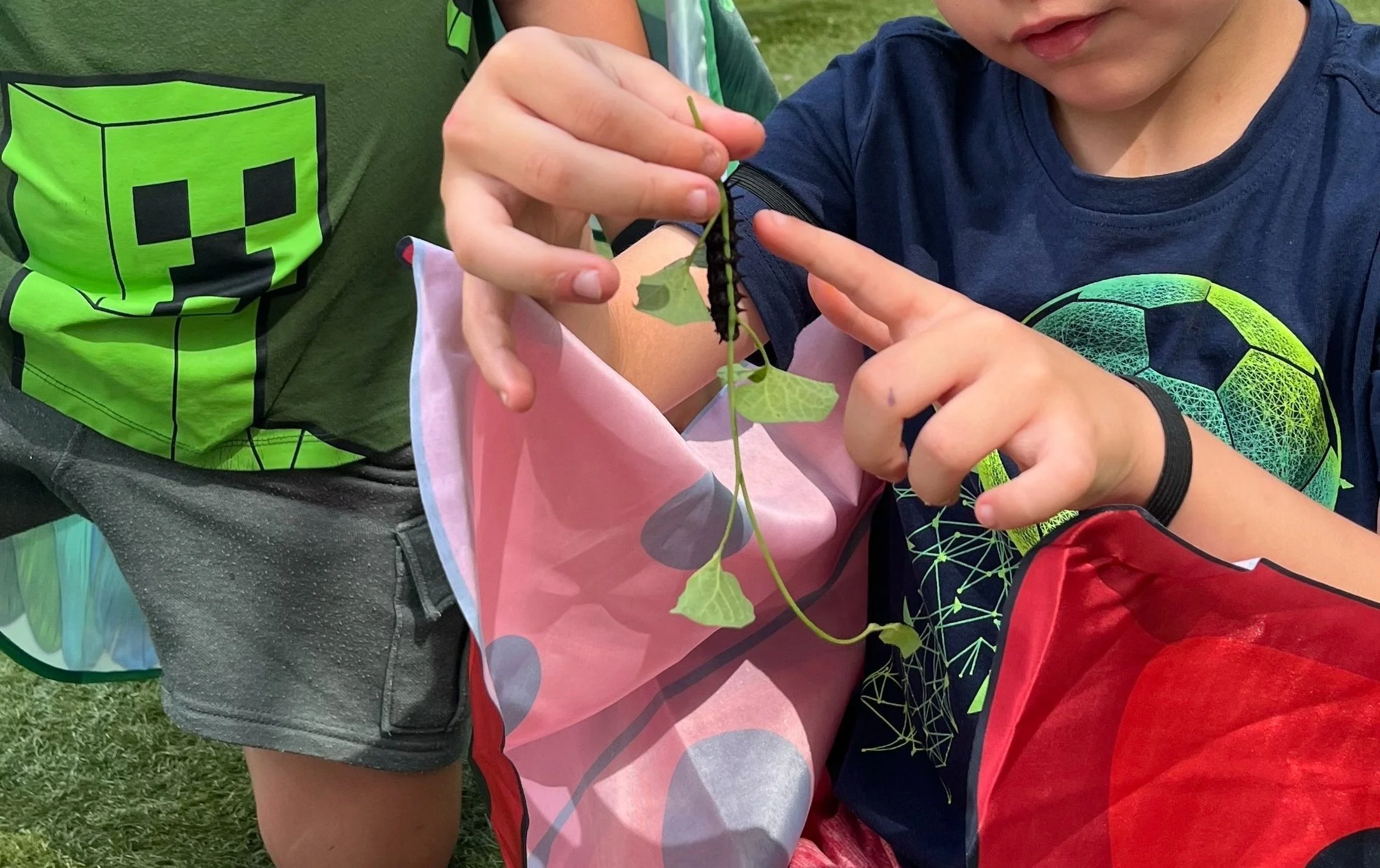 Children collecting caterpillars and leaves on a plant in an outdoor setting.