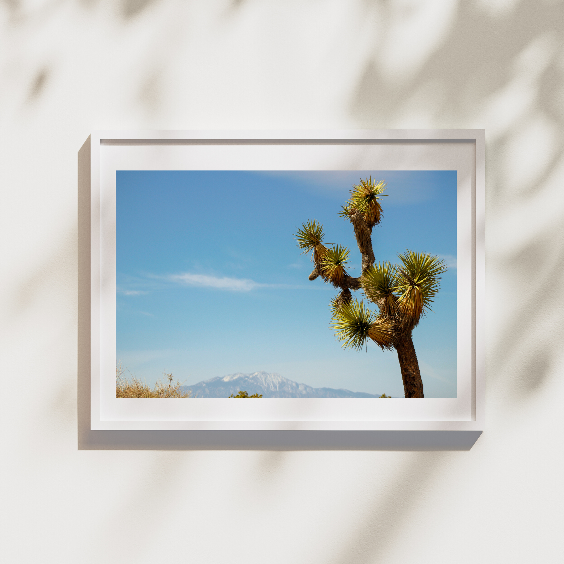 Print in frame template (1).png