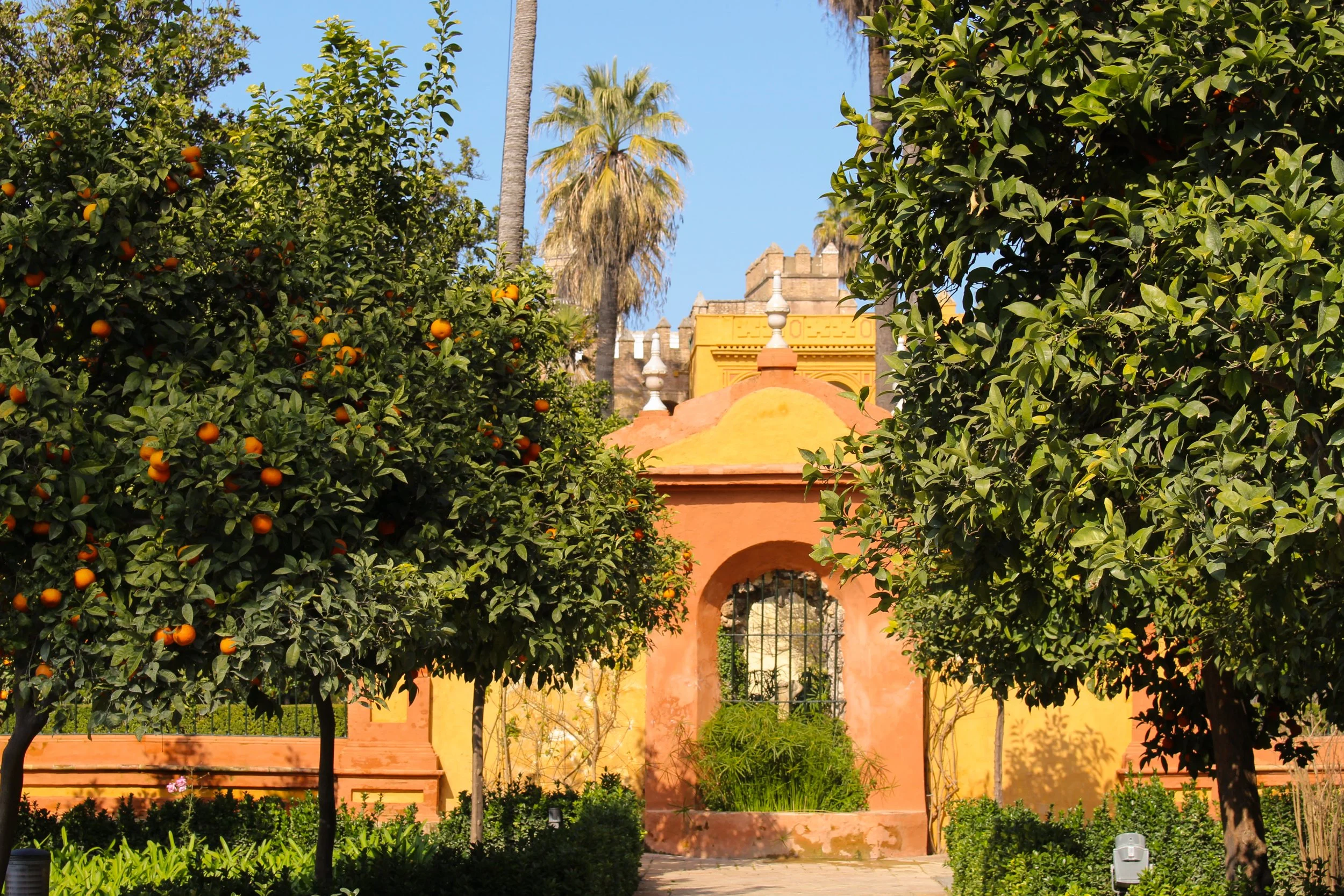 Sevilla Orange.jpg