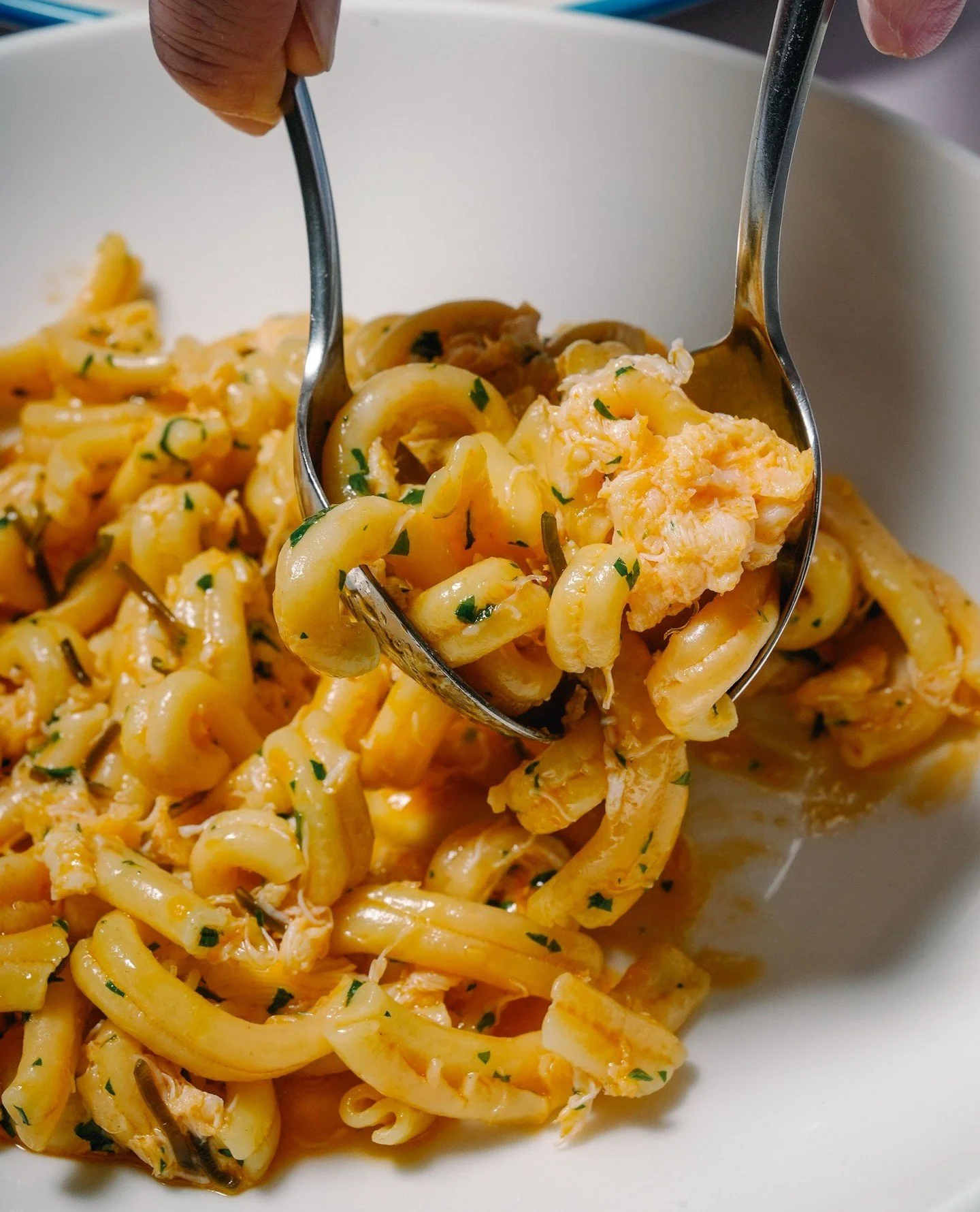 And just like that, we're back to business as usual. Join us for Crab Casarecce with Queensland Spanner Crab, dashi butter and lobster oil. Delicate, rich and full of flavour.⁠ Opening hours below 👇⁠
⁠
Lunch | Tuesday &ndash; Friday 12pm &ndash; 3pm