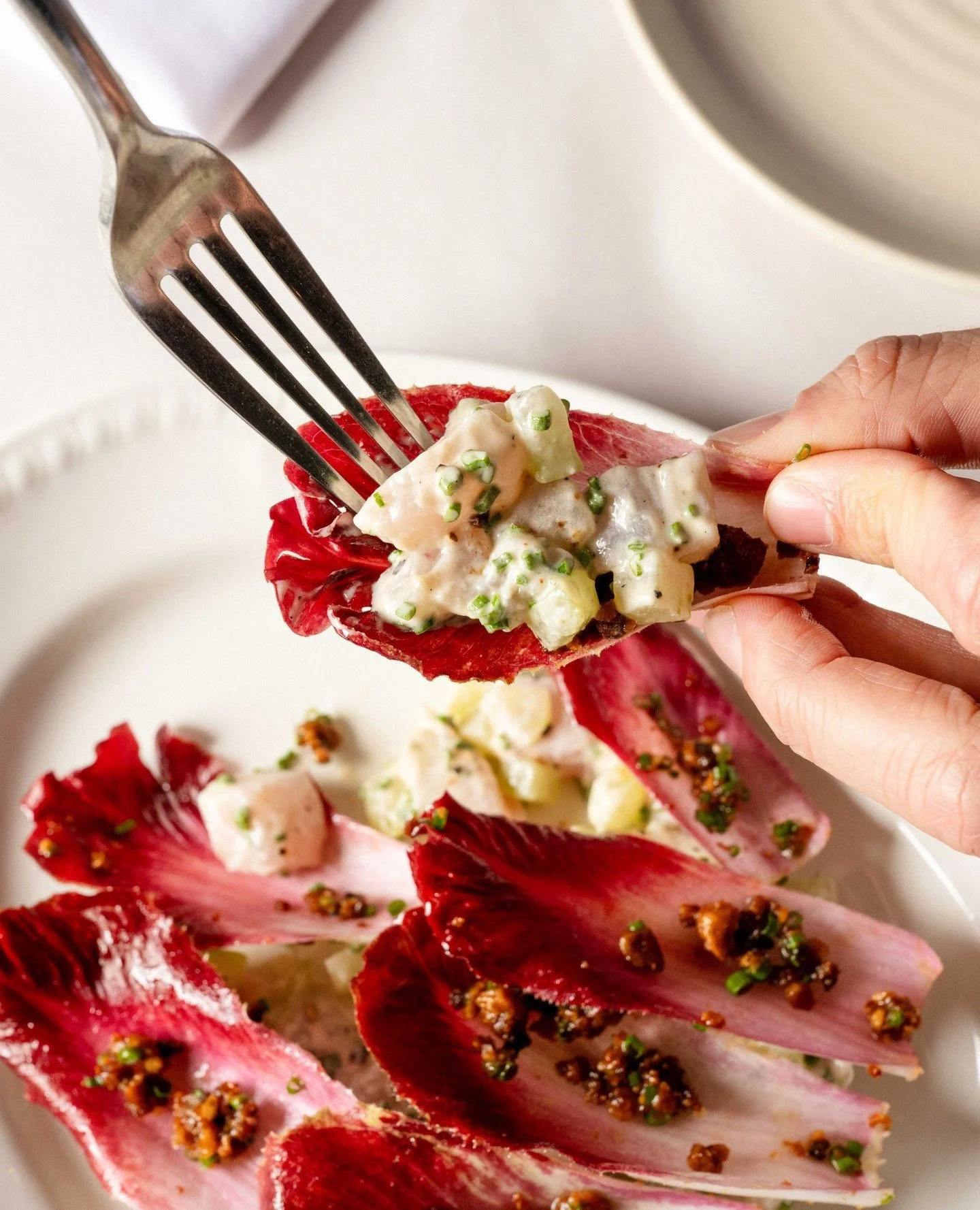 Delicate snapper tartare with macadamia and citrus mayonnaise, salted cucumber and red endive. Fresh, bright and the kind of starter that sets the tone for everything that follows.⁠
⁠
#RonniesMelbourne #MelbourneCBDDining #SnapperTartare #MelbourneEa