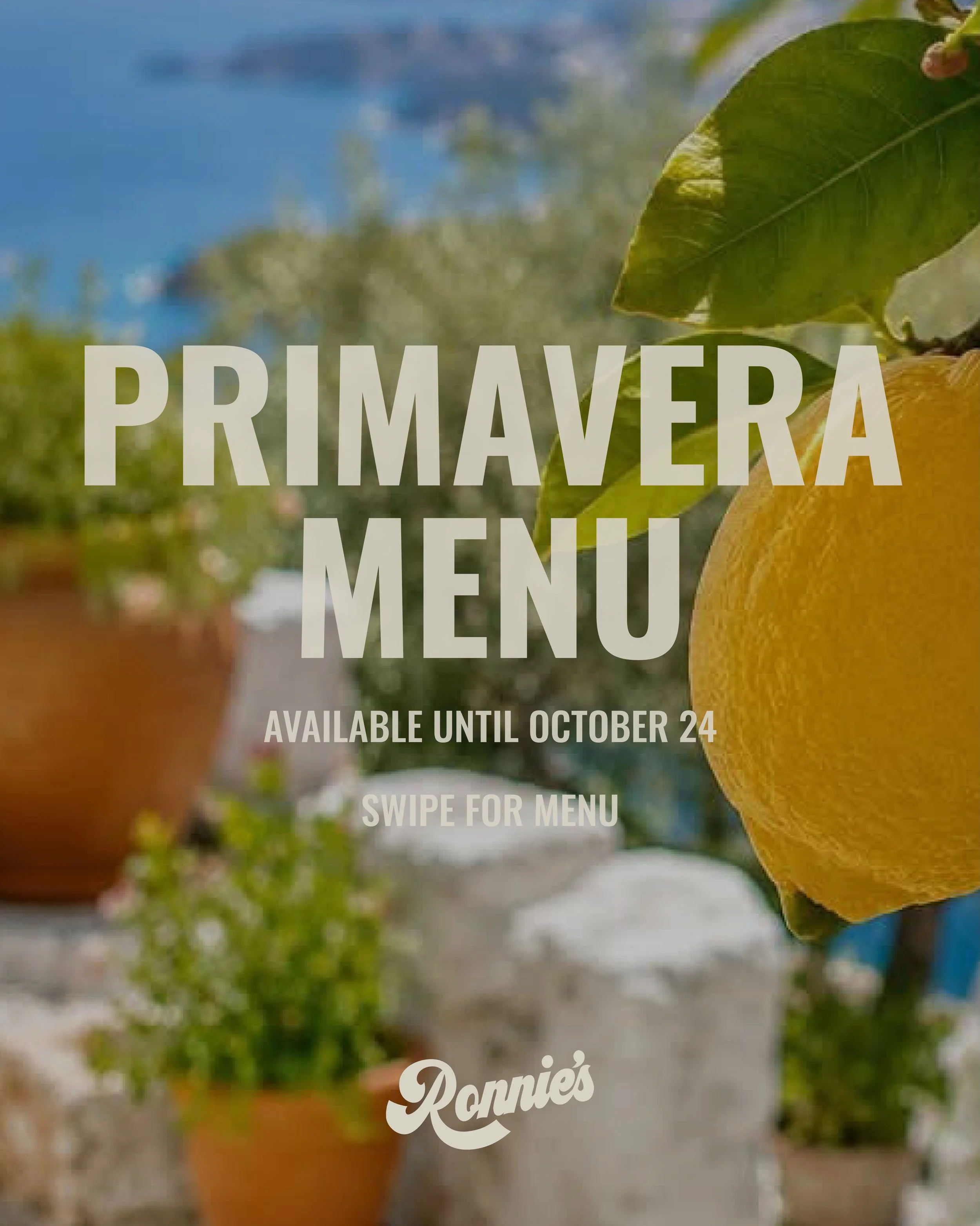 Primavera, on Collins &mdash; spring specials, now until 24 October. 

To start: marinated Port Lincoln sardines, white onion, marjoram. Pasta: spinach and ricotta ravioli, macadamia pangrattato, miso brown butter; prawn linguine, nduja butter, basil