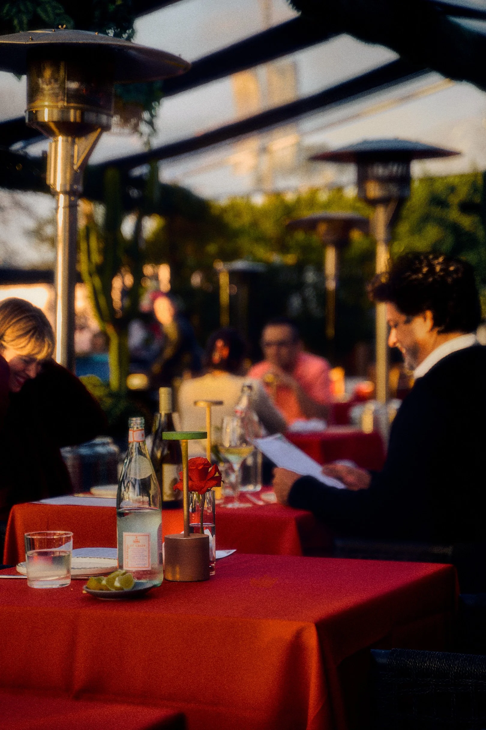 Celebrate Valentine's Day at Paloma Venice with candlelit dinners, handcrafted cocktails, and a warm atmosphere perfect for romantic evenings, holiday celebrations, and special events.