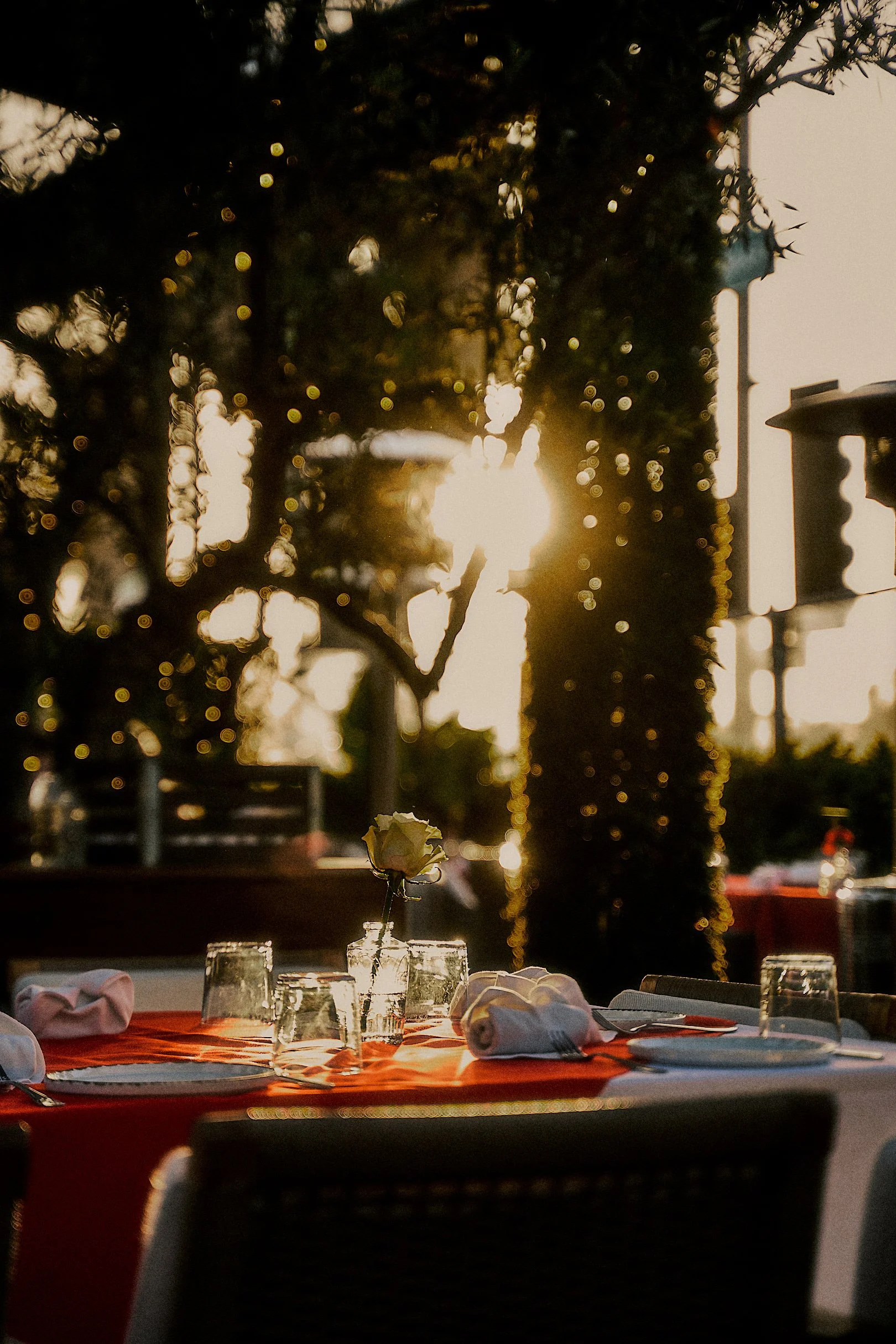 Golden hour at Paloma Venice creates the perfect backdrop for romantic dinners, private events, holiday celebrations, and unforgettable evenings in Venice Beach.
