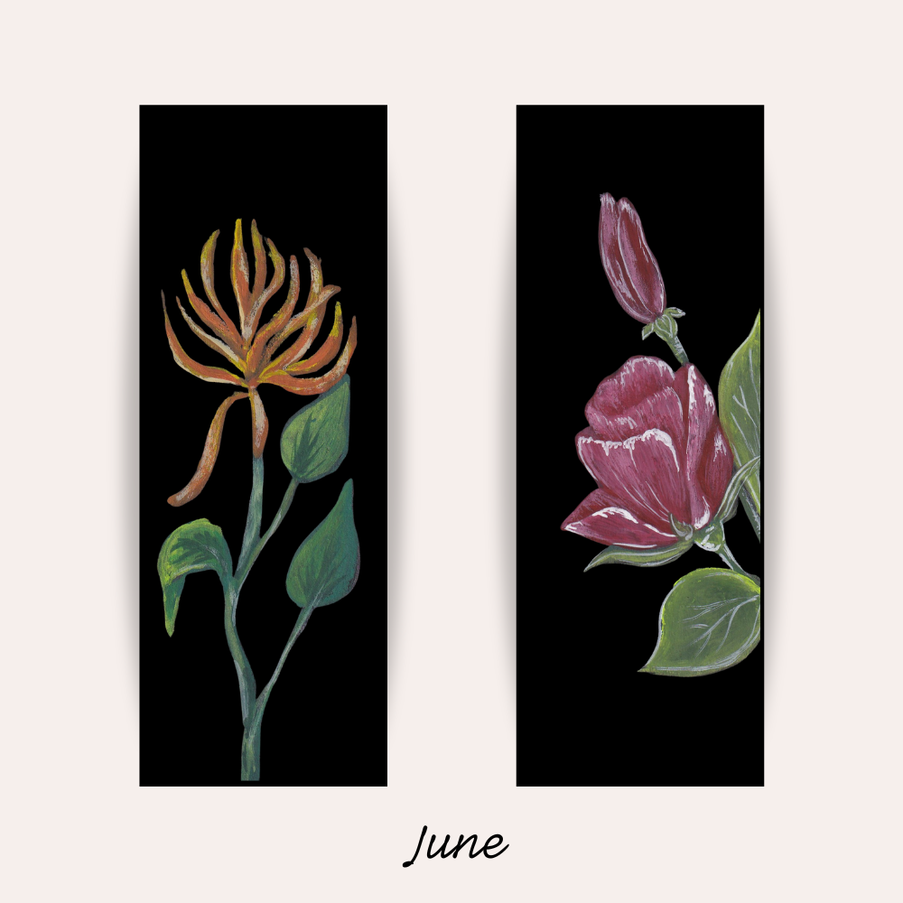 June Birth Flower Bookmark