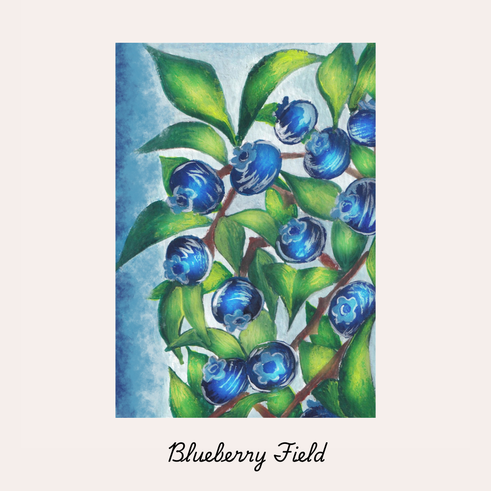blueberry field dd.png