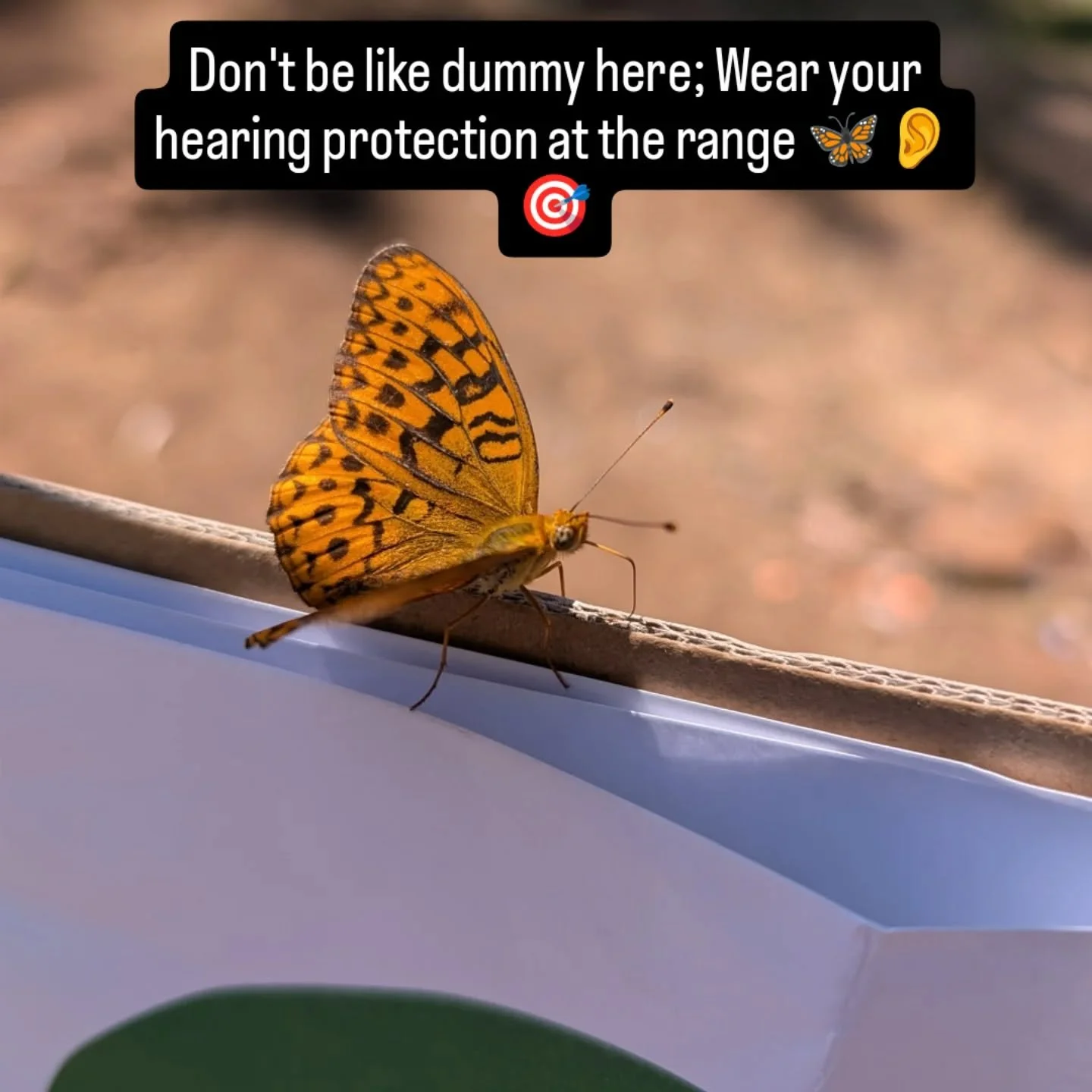 SacSolidaritydefense.com
Book your initial CCW or renewal with us. 
Also check link in bio for our new Range Buddy Program! 
#roseville #placercounty #ccw #sacramento #smallbusiness