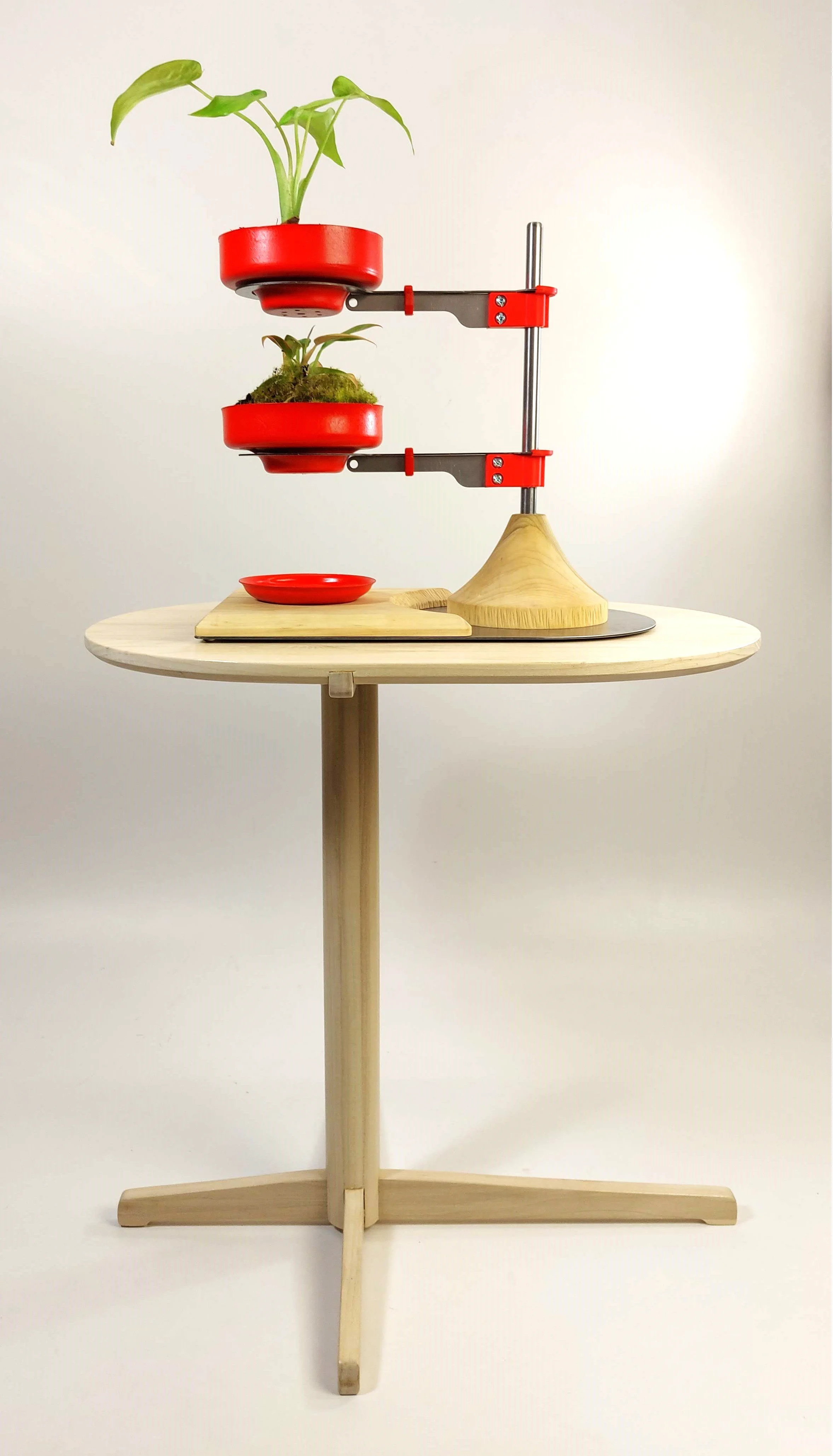 Final planter showcased on a cantilever side table I designed earlier in the year.