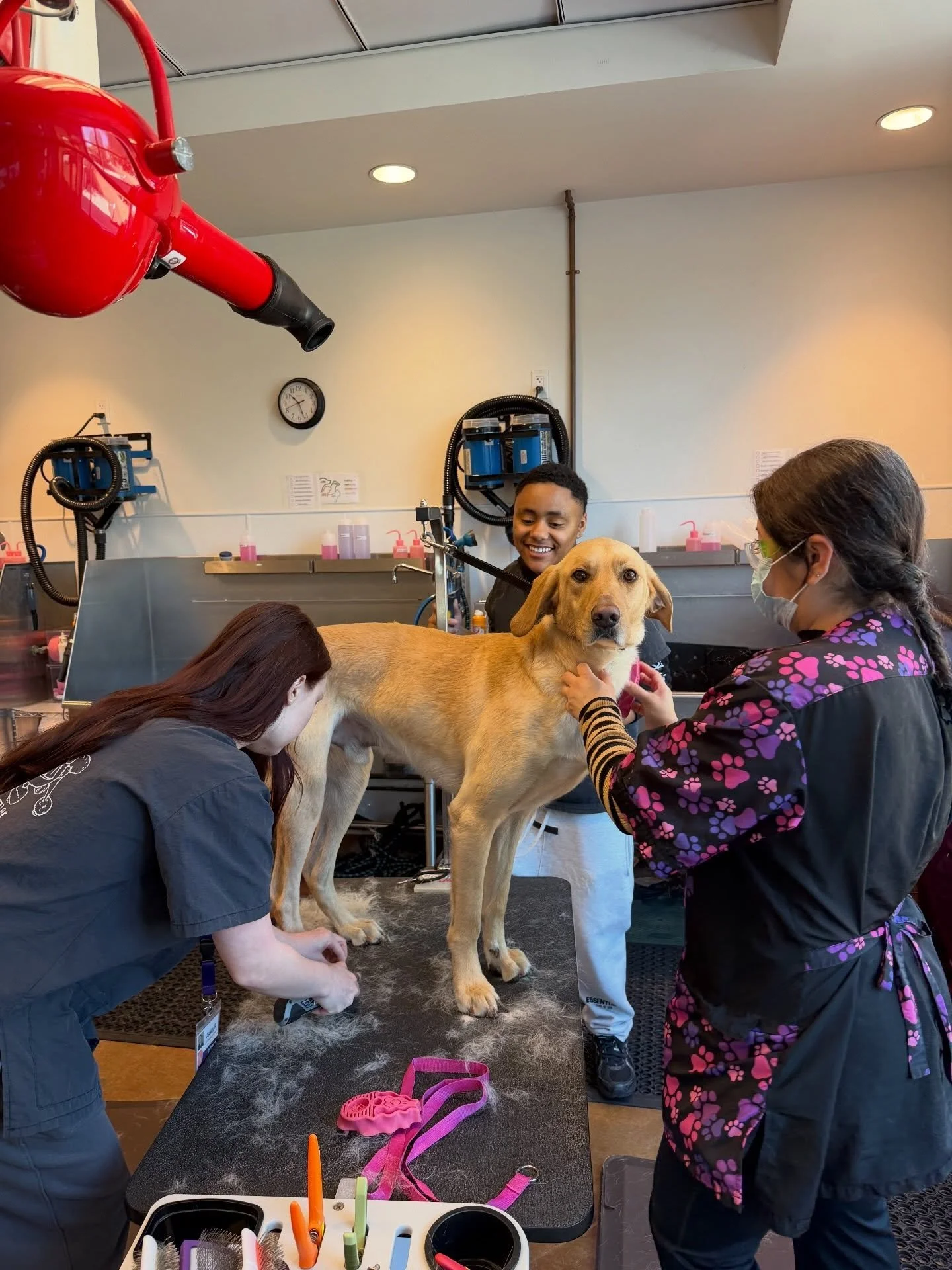 Looking to build real-world job skills in a supportive and fun environment? 🌟

At The Social Connection, our Employment Training Program helps young adults develop vocational skills, build confidence, and gain independence while exploring different 