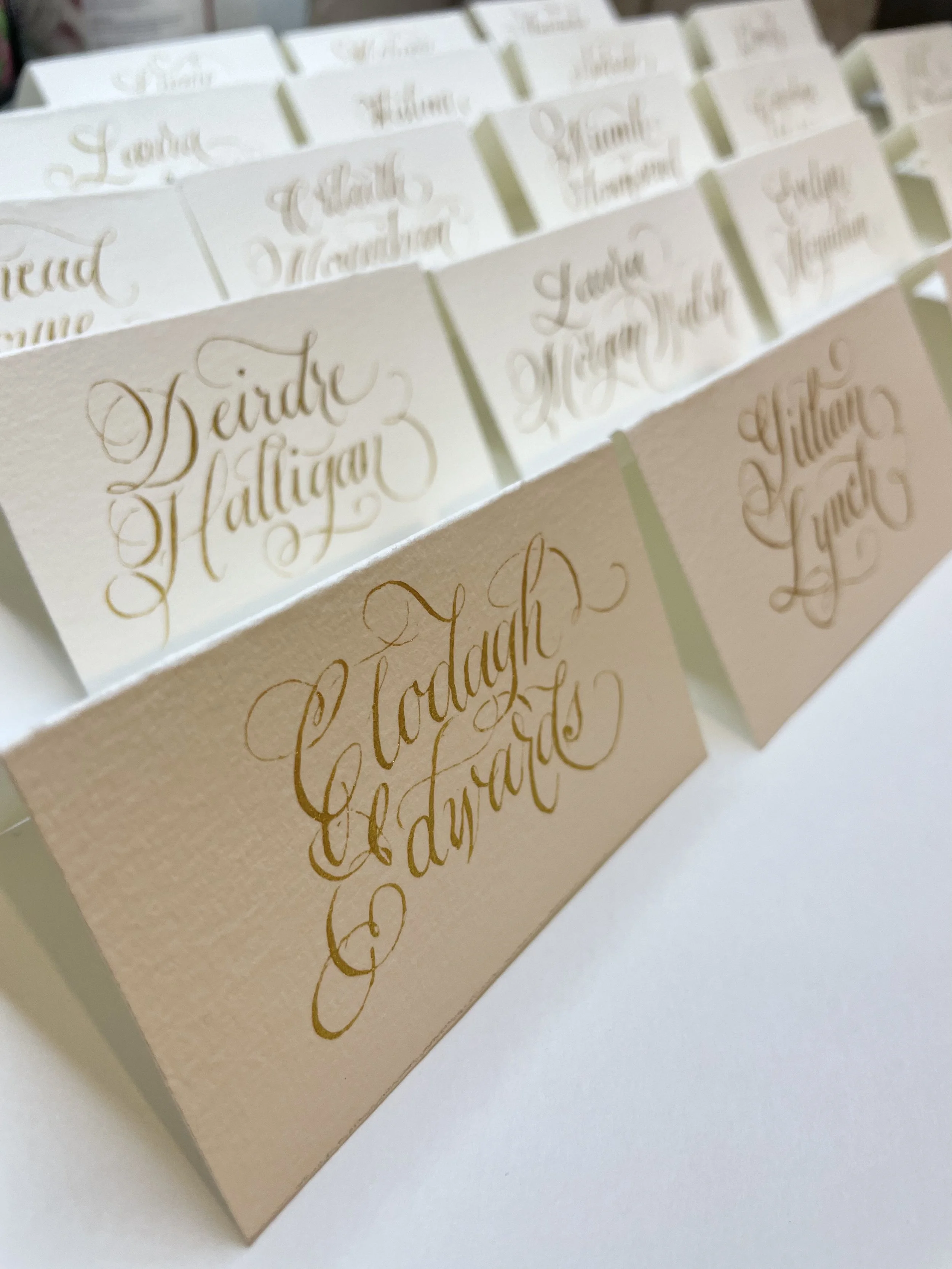 Ireland Fashion Week CalligraScriobh by Almarie, Live Event Artist, Calligrapher, Engraver, Painter, Illustrator. Fashion Illustration, Fashion Illustrator, Ireland Fashion Week Launch Party