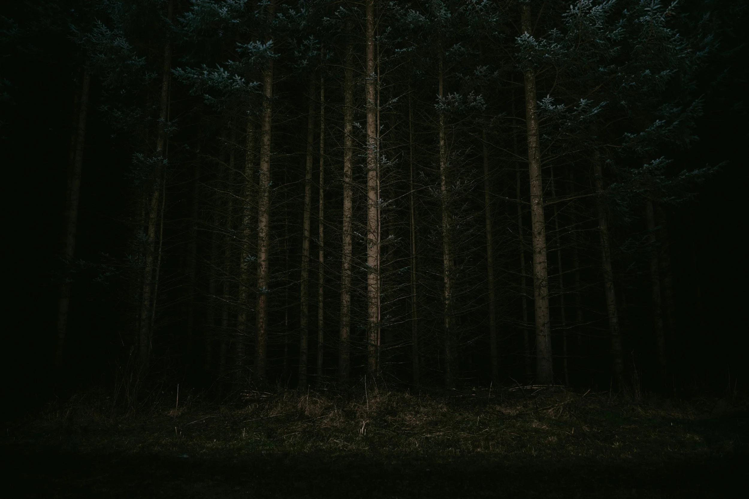 Menteath Presents: NOCTURNE