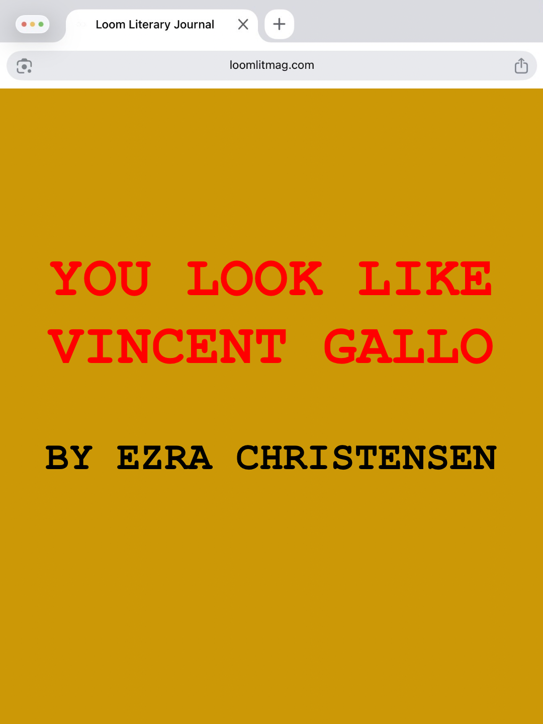 You Look Like Vincent Gallo